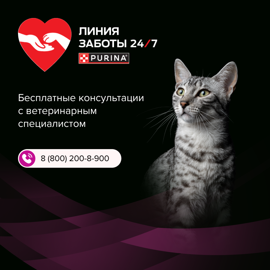 Влажный корм для кошек диетический PRO PLAN® VETERINARY DIETS UR ST/OX Urinary при болезнях нижних отделов мочевыводящих путей, с лососем, 85 г x 26 шт.