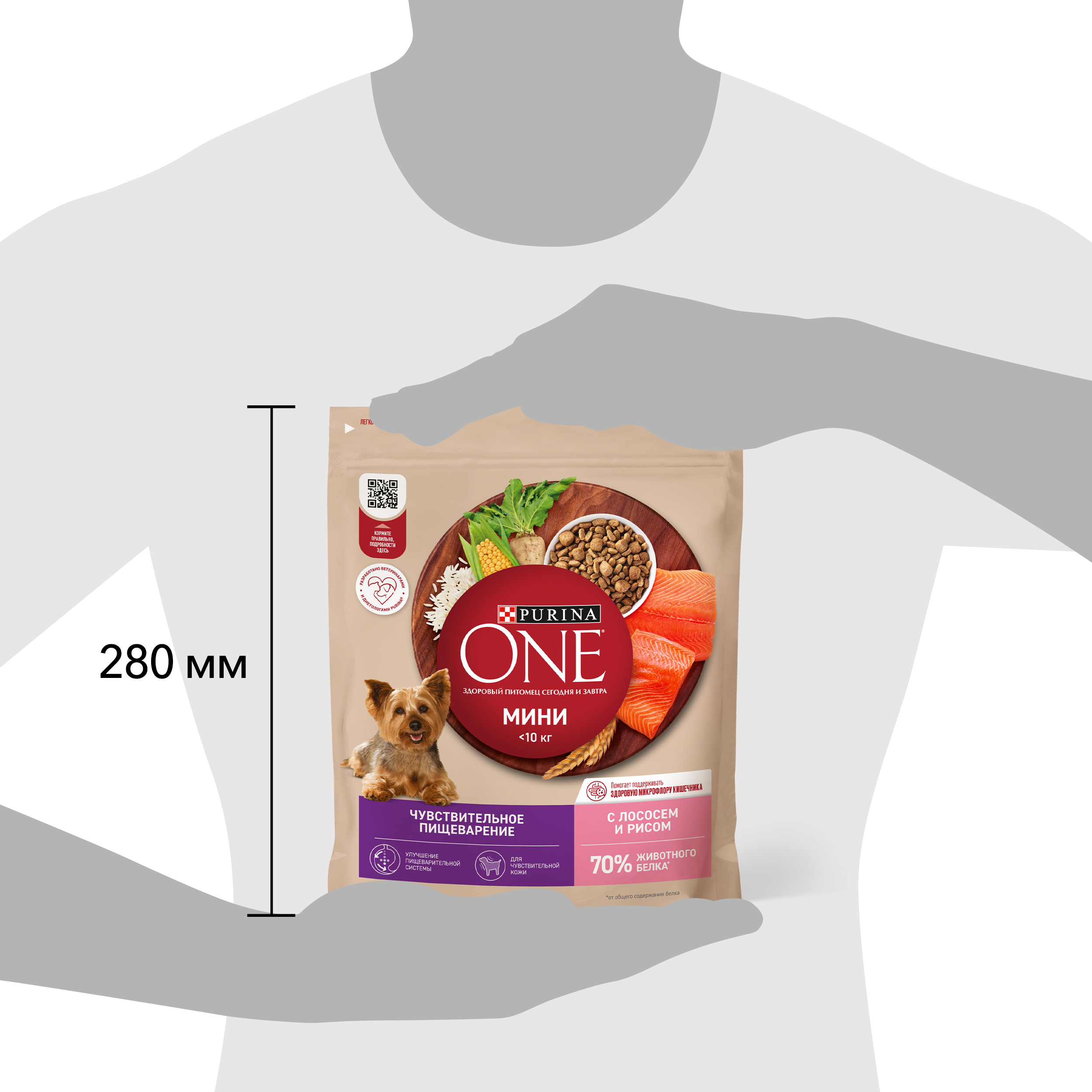 Сухой корм Purina ONE® МИНИ для собак мелких пород для чувствительного пищеварения с лососем и рисом 600 г