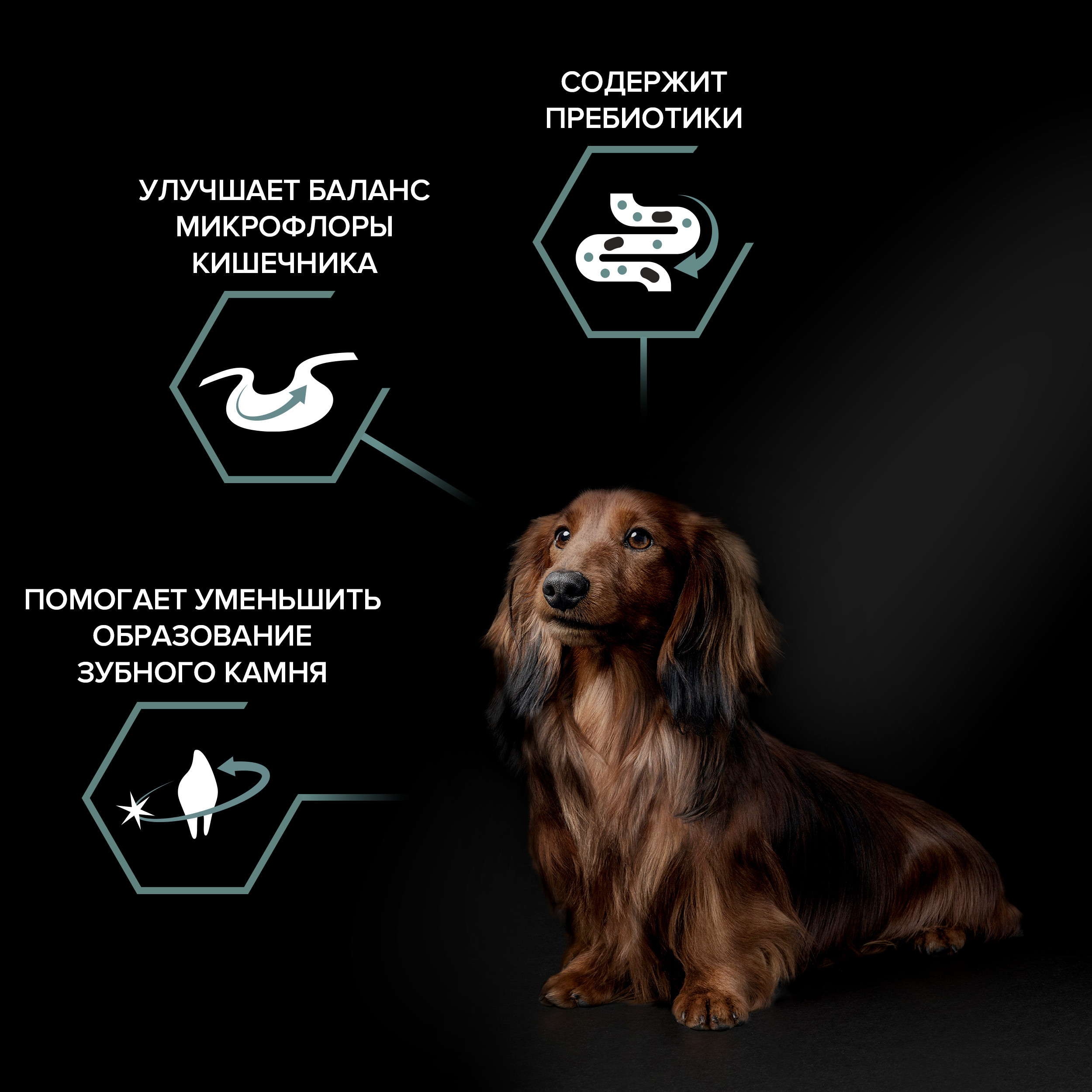 Сухой корм PRO PLAN® SENSITIVE DIGESTION для взрослых собак мелких и карликовых пород с чувствительным пищеварением с ягненком, 3 кг