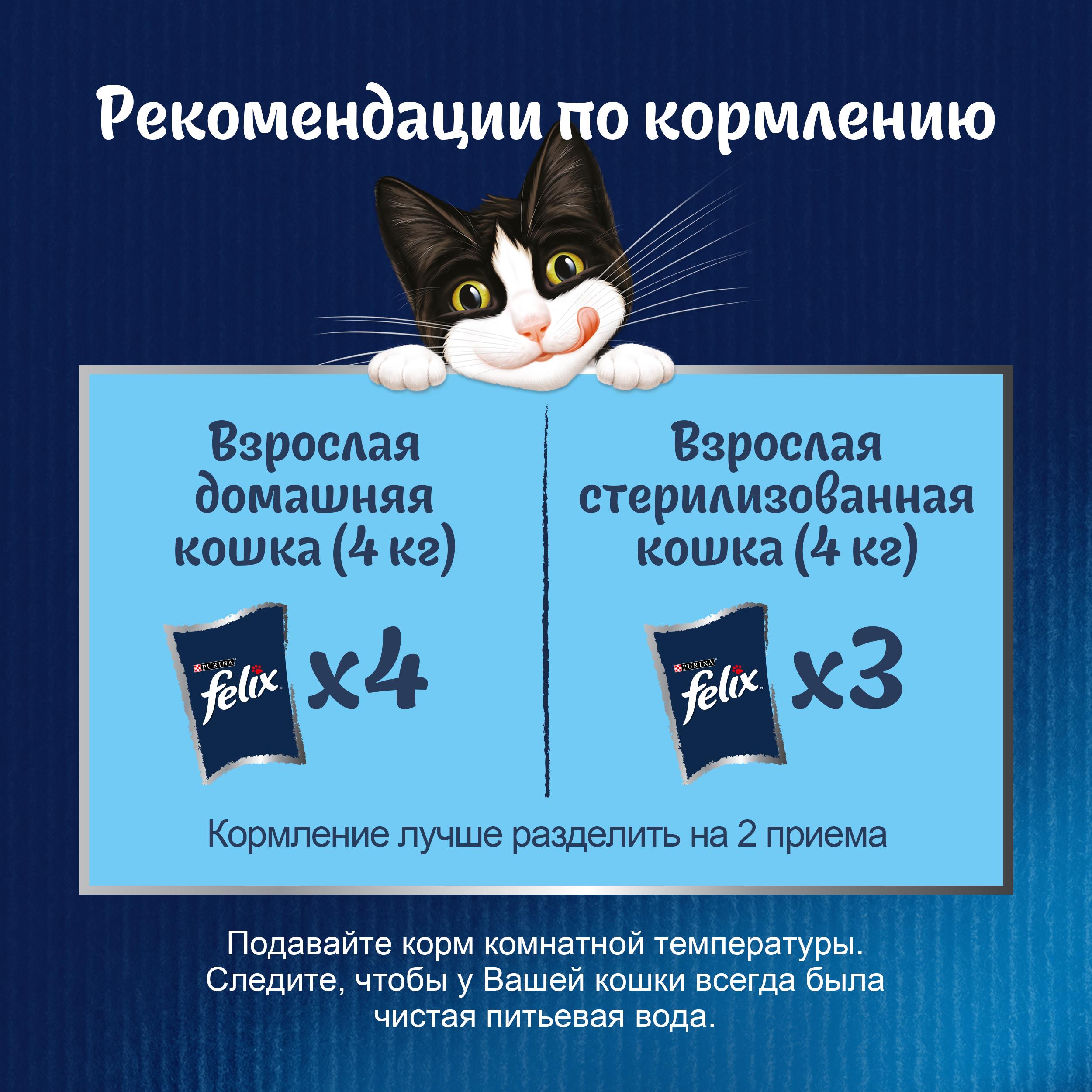 Влажный корм FELIX® Sensations для кошек с говядиной в желе с томатами 75 г х 26 шт
