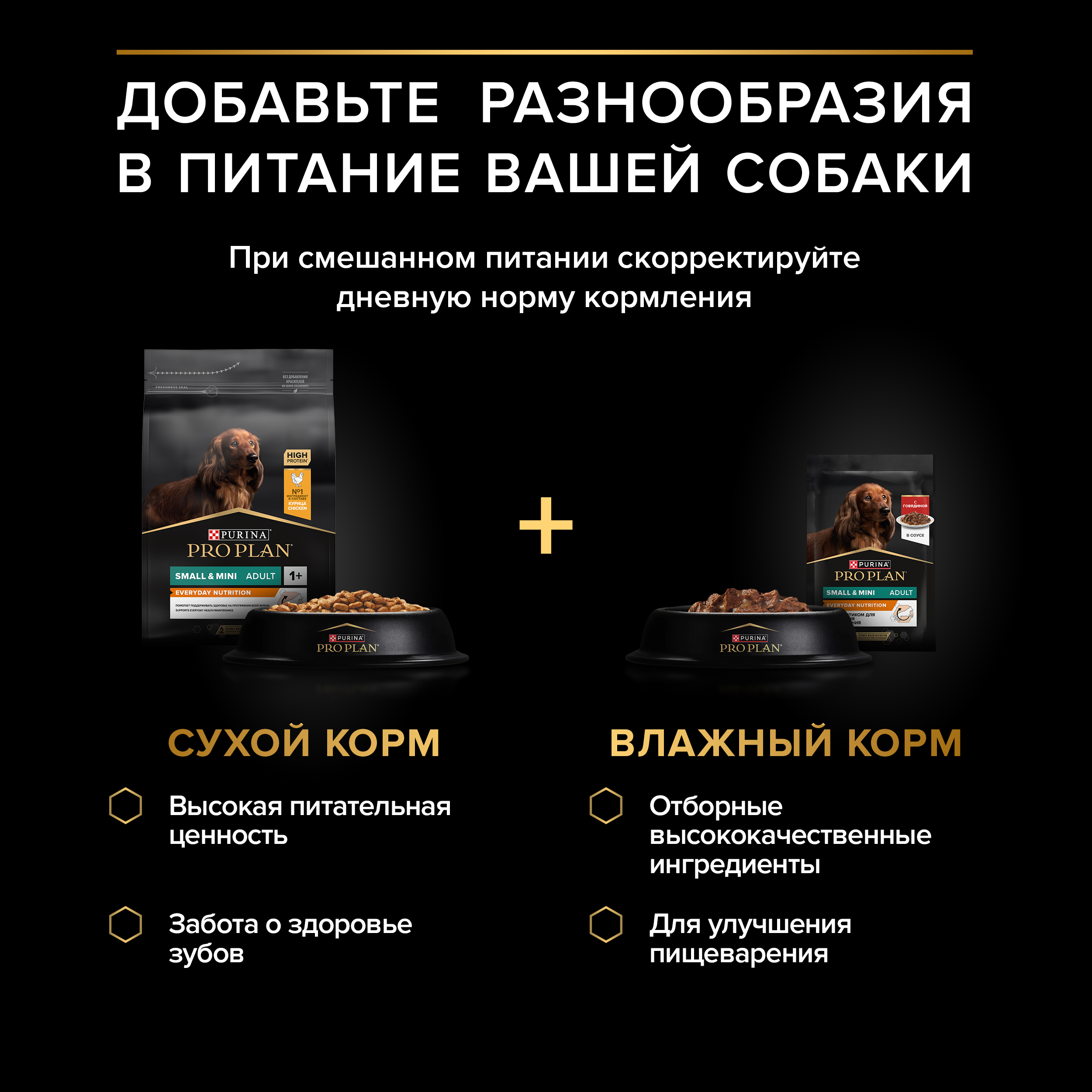 Влажный корм PRO PLAN® EVERYDAY NUTRITION для собак мелких и карликовых пород с говядиной, 85 г х 26 шт