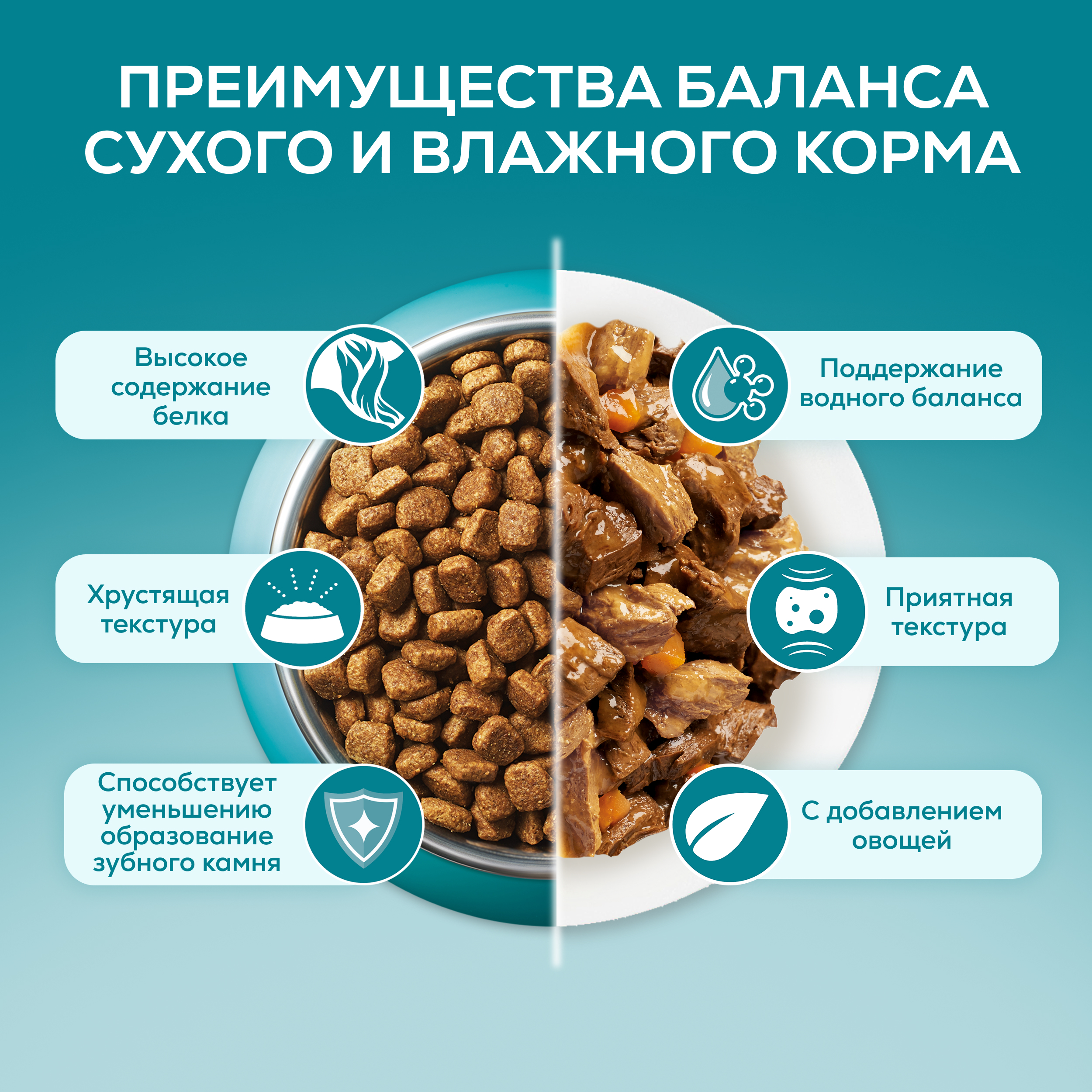 Влажный корм PURINA ONE® для стерилизованных кошек и кастрированных котов, с курицей и зеленой фасолью 75 г х 26 шт