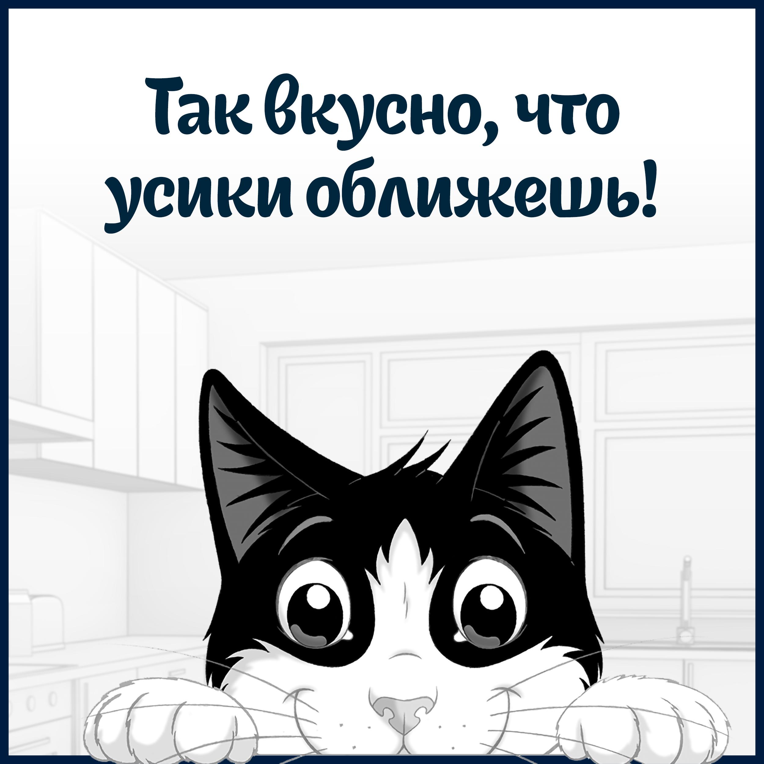 Влажный корм FELIX® Аппетитные кусочки для кошек, с индейкой в желе 75 г х 26 шт