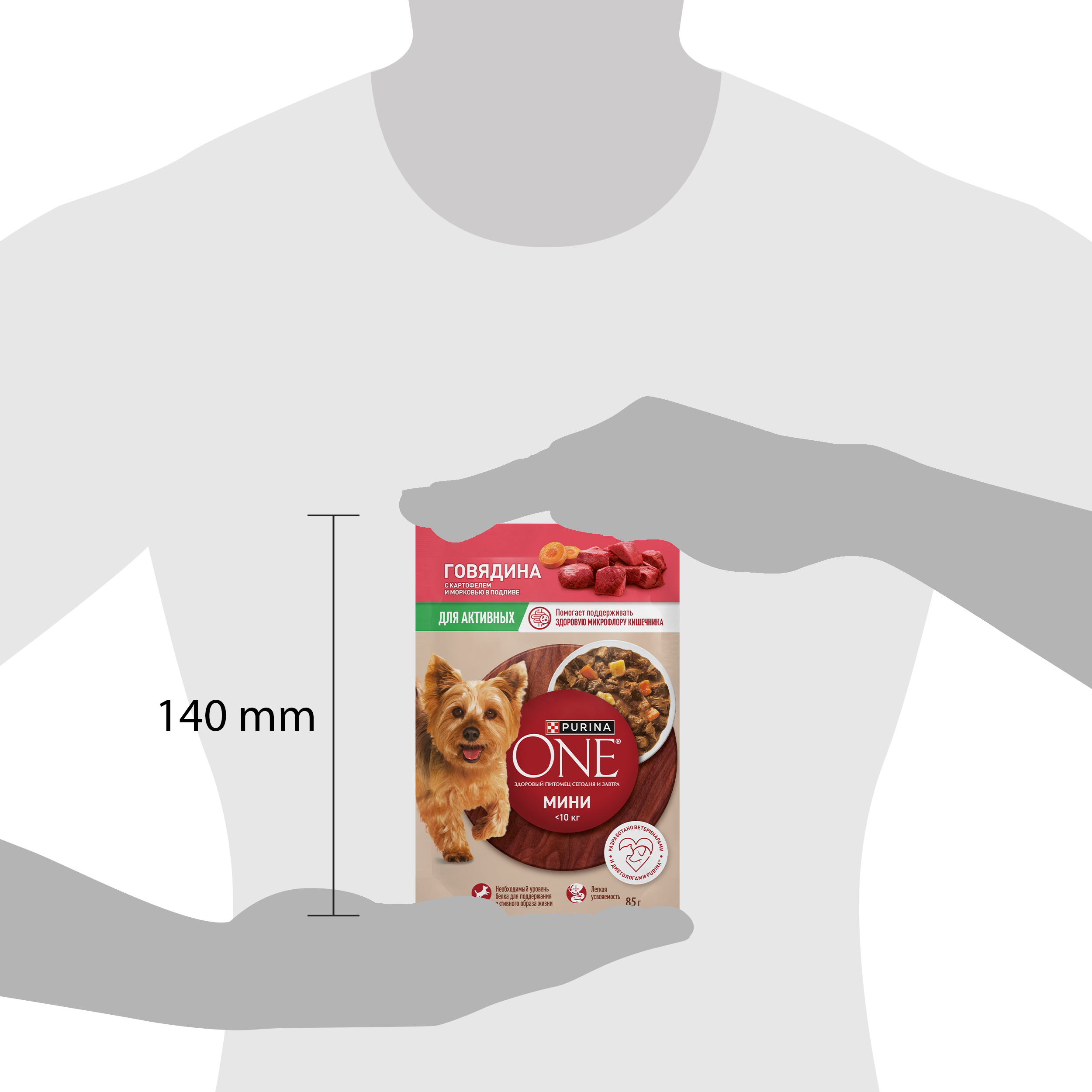Влажный корм Purina ONE® МИНИ для активных собак мелких и карликовых пород с говядиной, картофелем и морковью в соусе 85 г x 26 шт