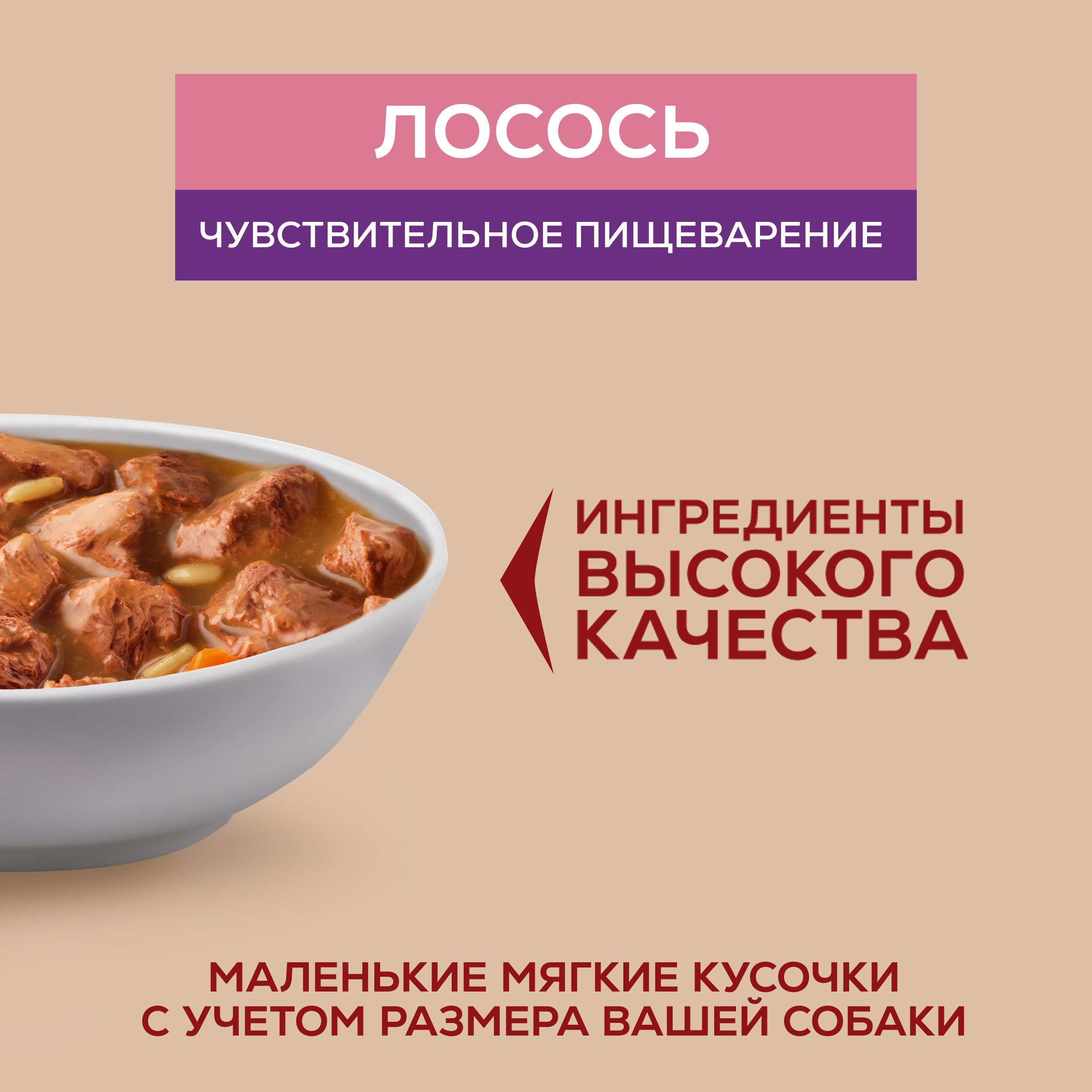 Влажный корм Purina ONE® МИНИ для собак мелких и карликовых пород с чувствительным пищеварением с лососем, рисом и морковью в соусе 85 г x 26 шт