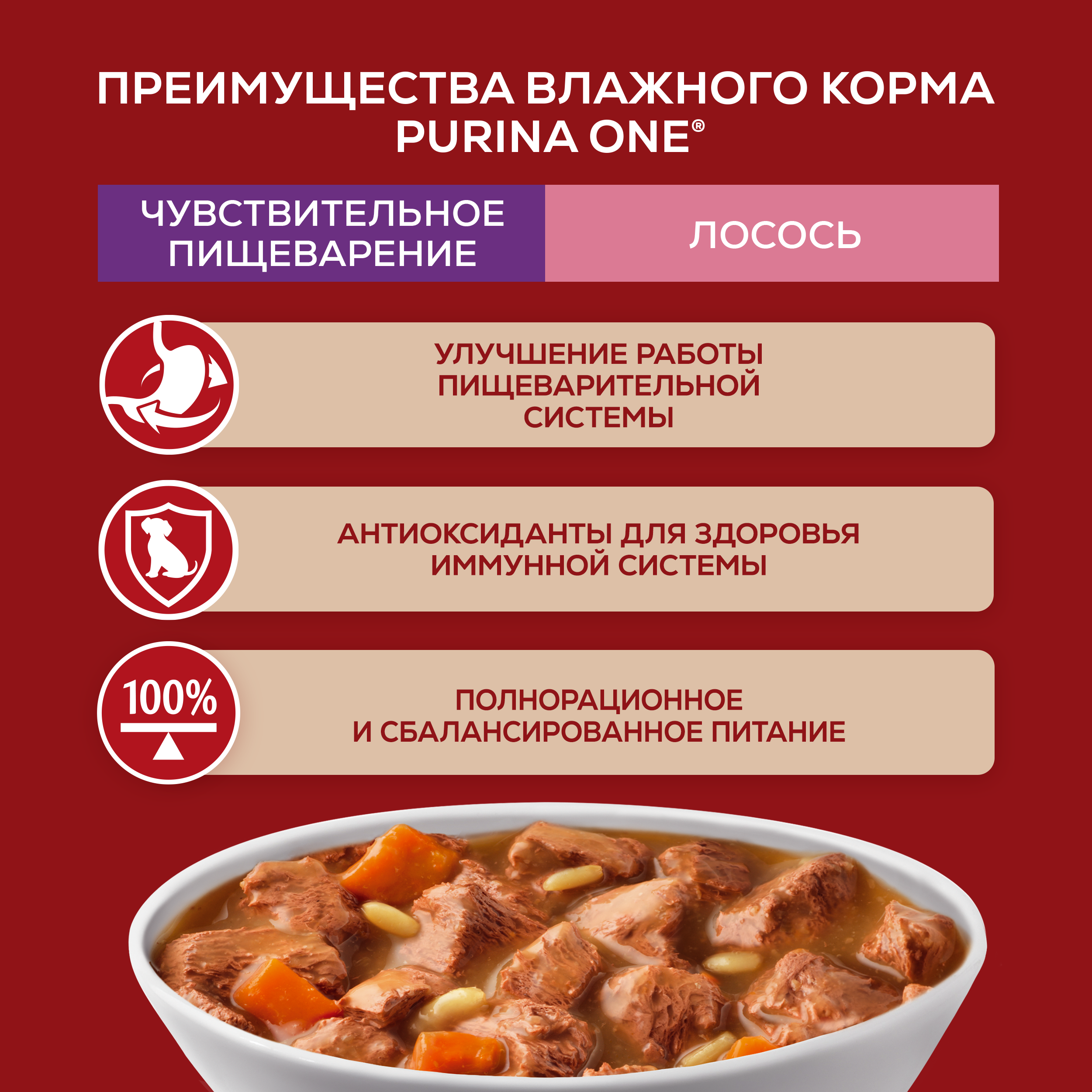 Влажный корм Purina ONE® МИНИ для собак мелких и карликовых пород с чувствительным пищеварением с лососем, рисом и морковью в соусе 85 г x 26 шт