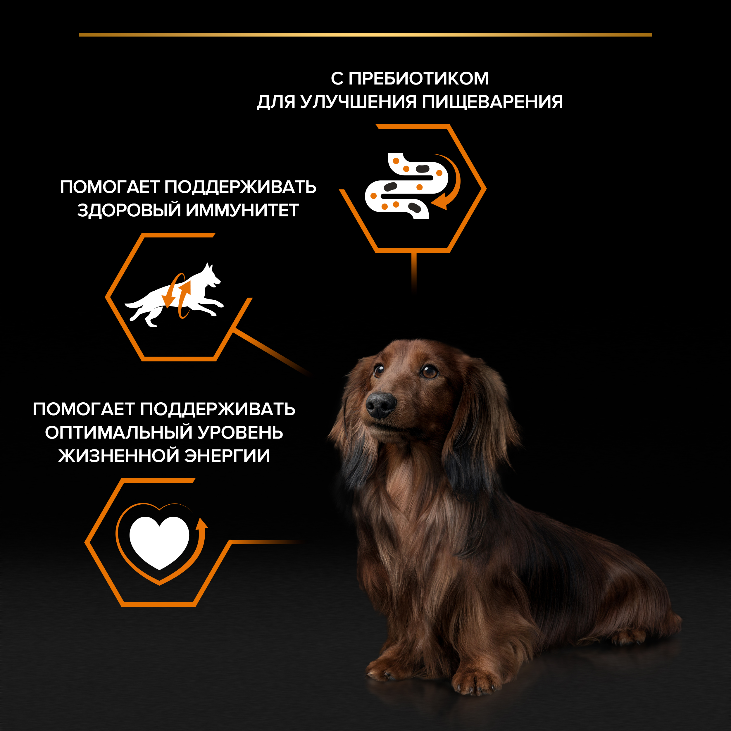 Влажный корм PRO PLAN® EVERYDAY NUTRITION для собак мелких и карликовых пород с говядиной, 85 г х 26 шт
