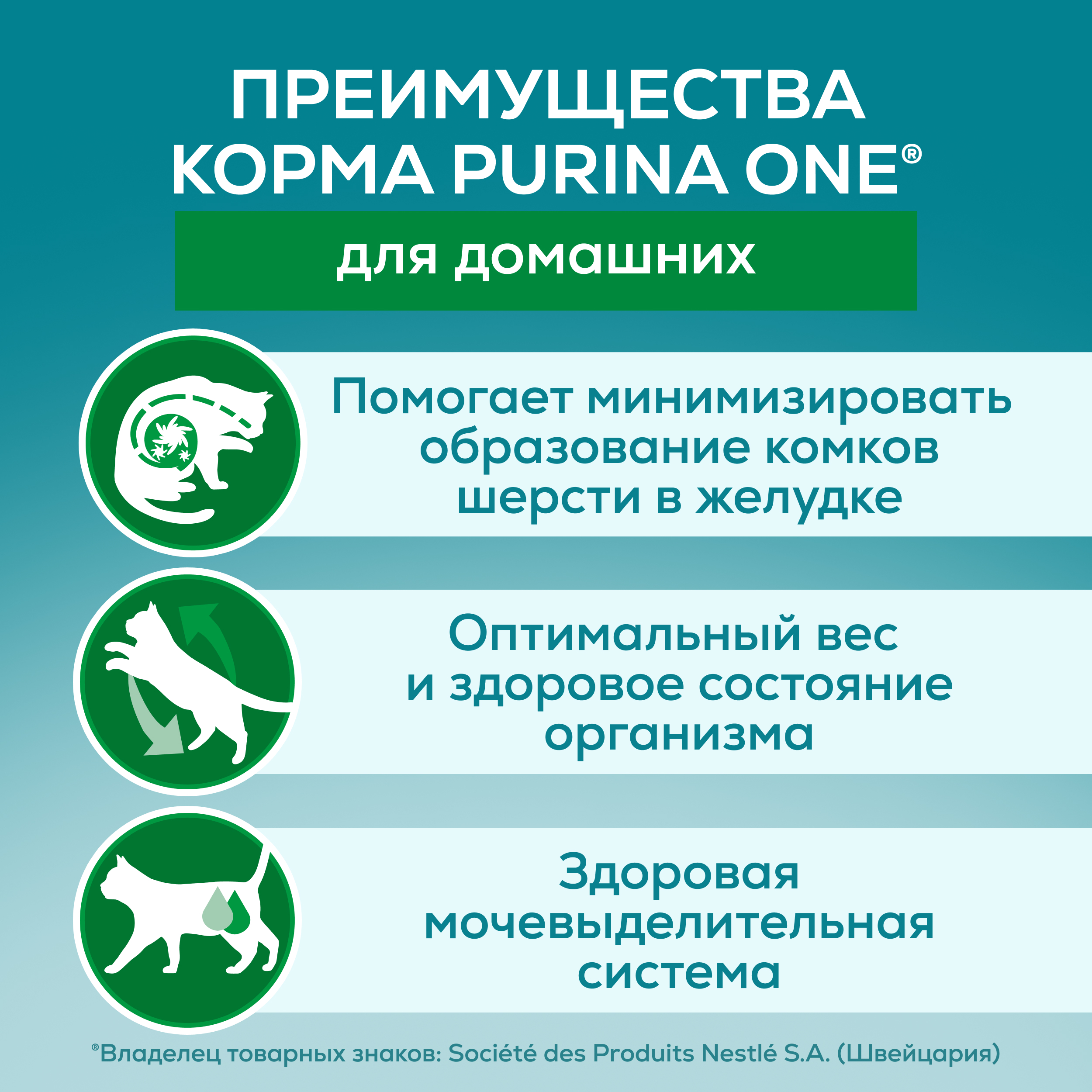 Влажный корм PURINA ONE® для взрослых домашних кошек с курицей и морковью 75 г x 26 шт
