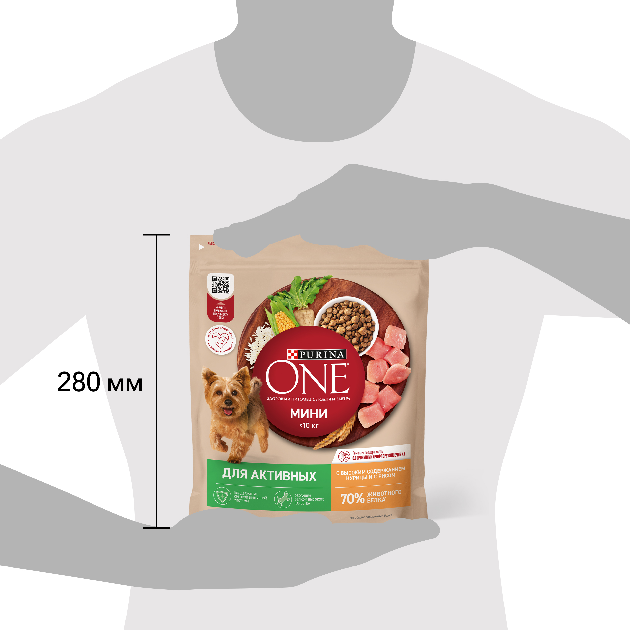 Сухой корм Purina ONE® МИНИ для активных собак мелких пород с курицей и рисом 600 г