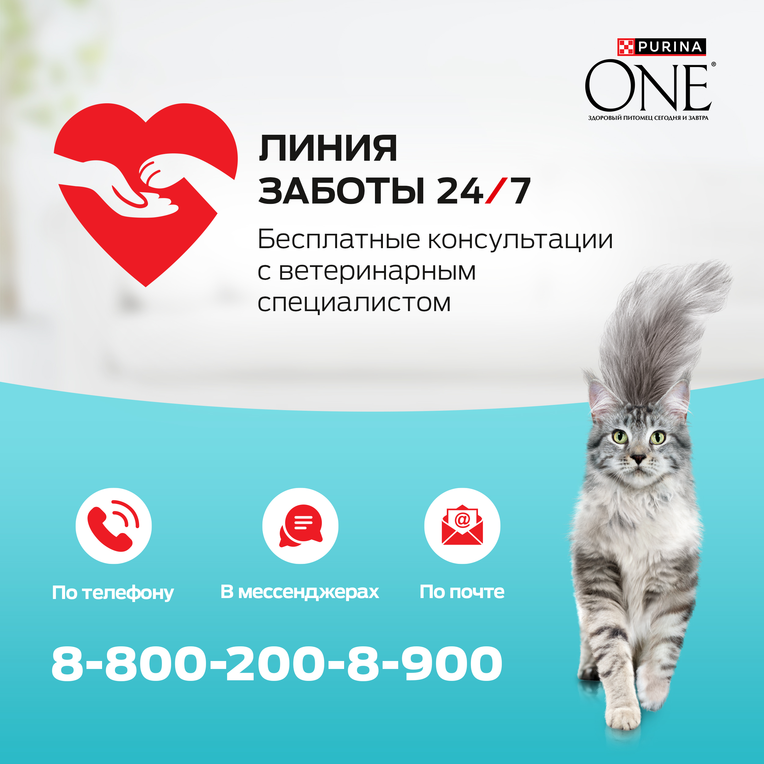Сухой корм PURINA ONE® для кошек особенно привередливых к вкусу с уткой и печенью, 750 г