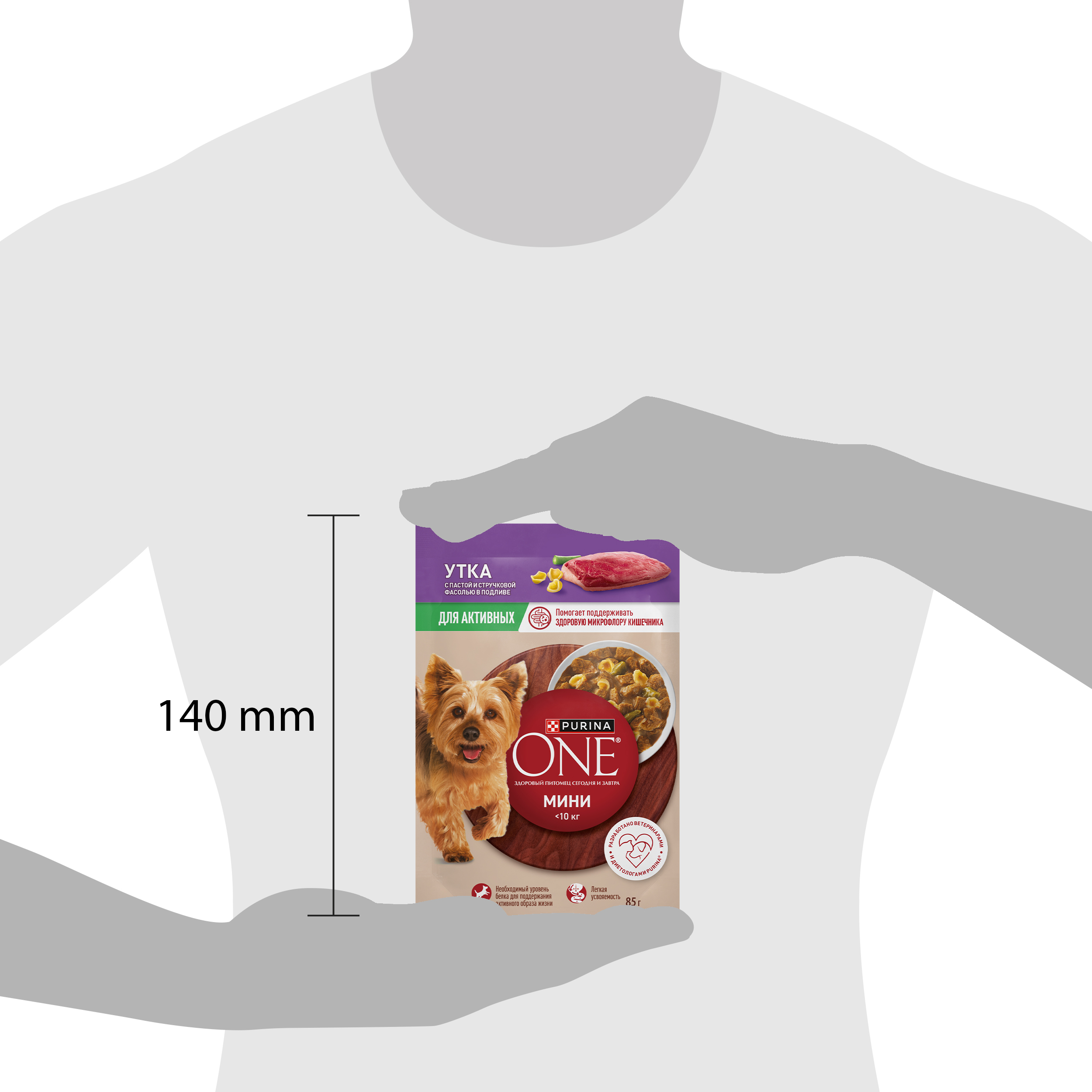 Влажный корм Purina ONE® МИНИ для активных собак мелких и карликовых пород с уткой, пастой и стручковой фасолью в соусе 85 г x 26 шт