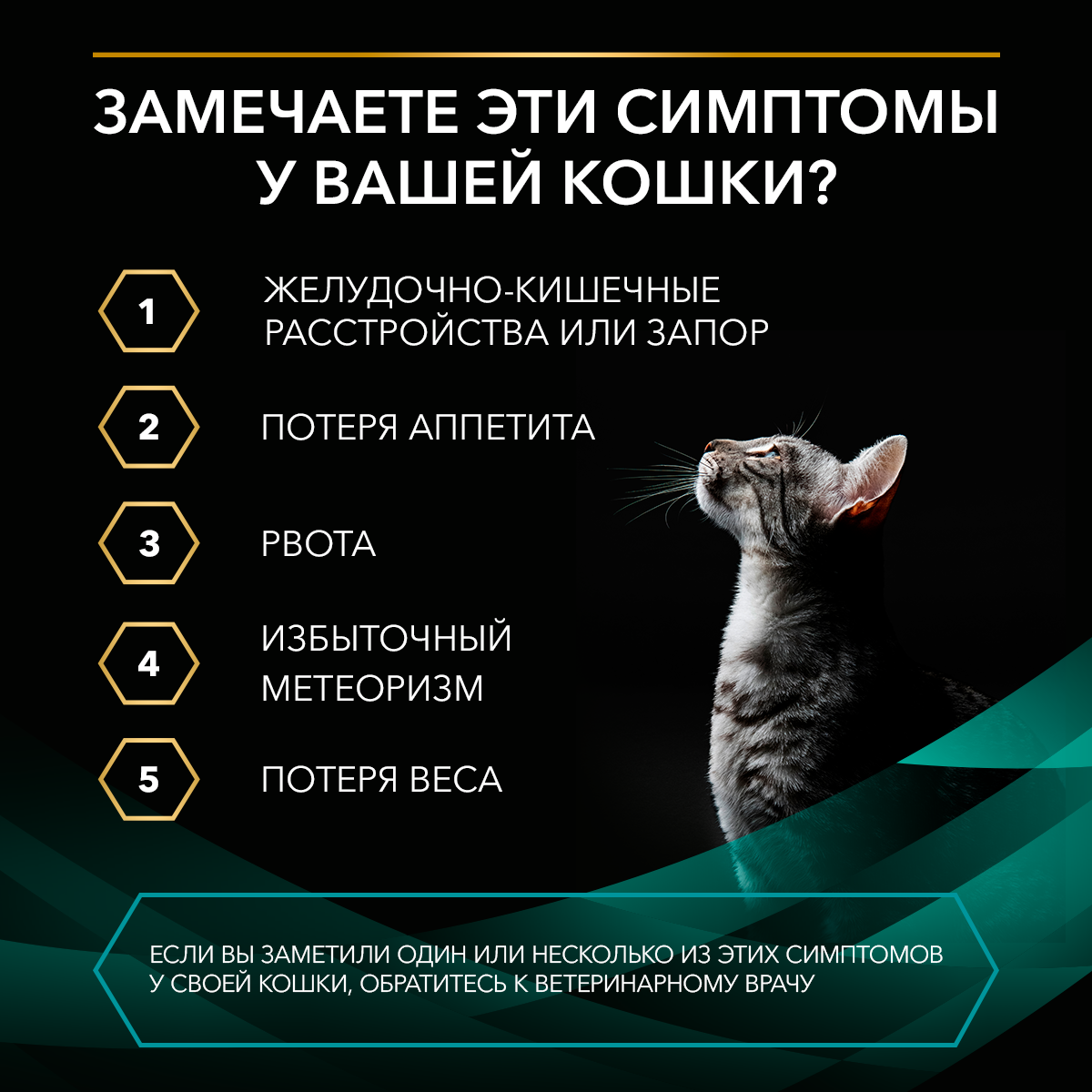 Влажный корм PRO PLAN® VETERINARY DIETS EN ST/OX Gastrointestinal диетический для кошек при расстройствах пищеварения, с курицей, 85 г х 26 шт.