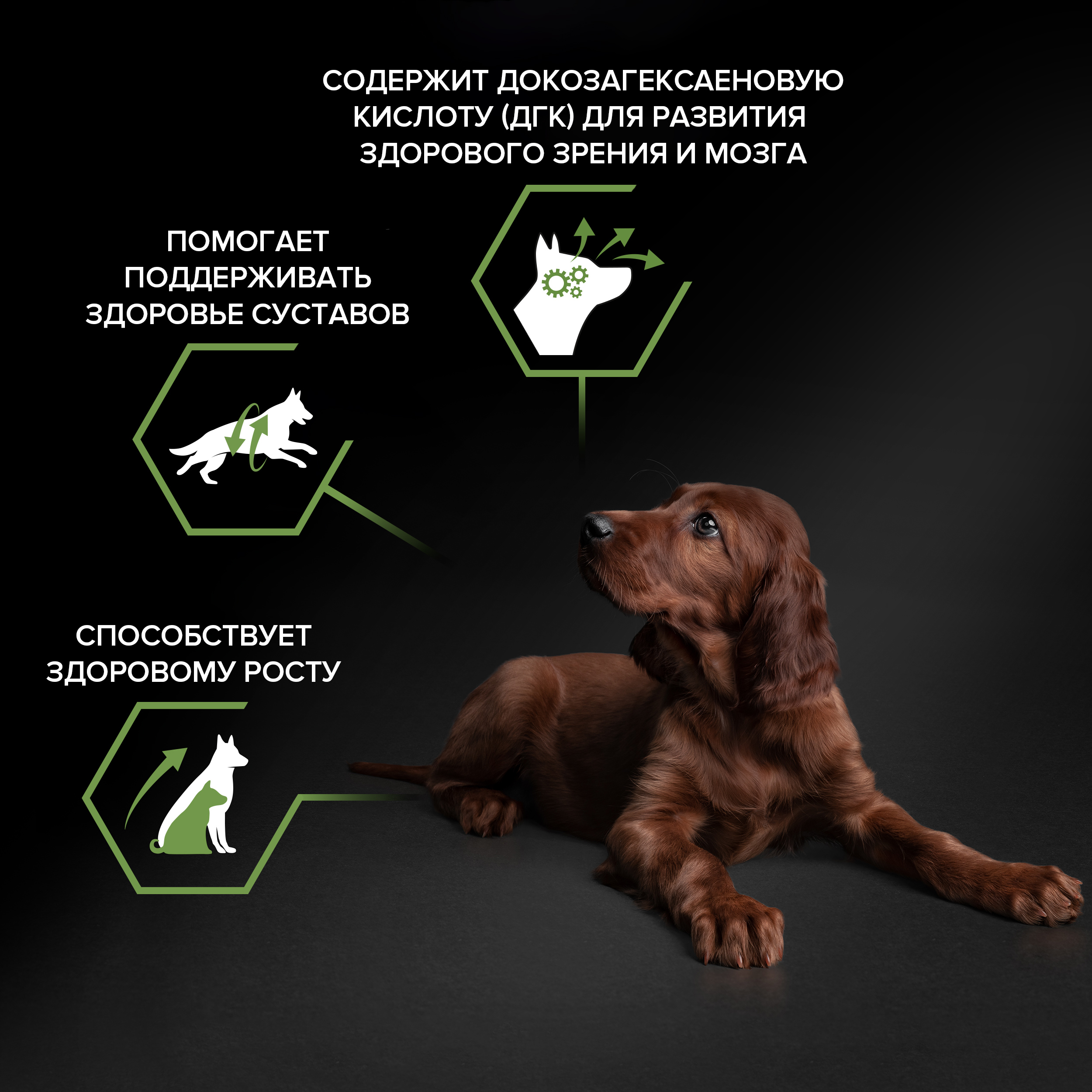 Сухой корм PRO PLAN® HEALTHY START® для щенков крупных пород с атлетическим телосложением, c курицей, 12 кг
