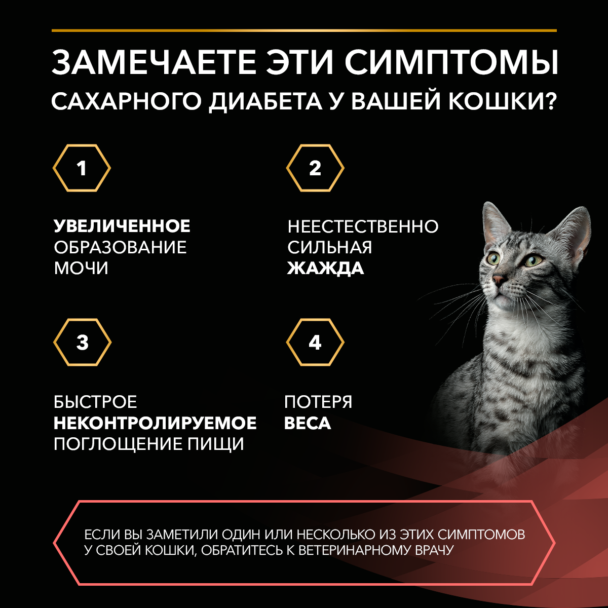 Влажный корм для котят и взрослых кошек диетический PRO PLAN® VETERINARY DIETS DM St/Ox Diabetes Management при диабете с говядиной, 85 г x 26 шт.