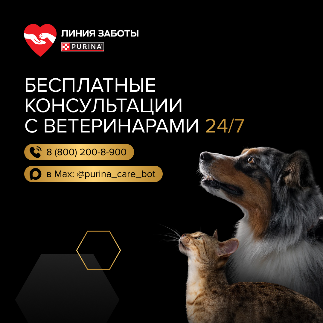 Сухой корм PRO PLAN® Sterilised SAVOURY DUO для взрослых стерилизованных привередливых кошек с уткой и с печенью, 3 кг
