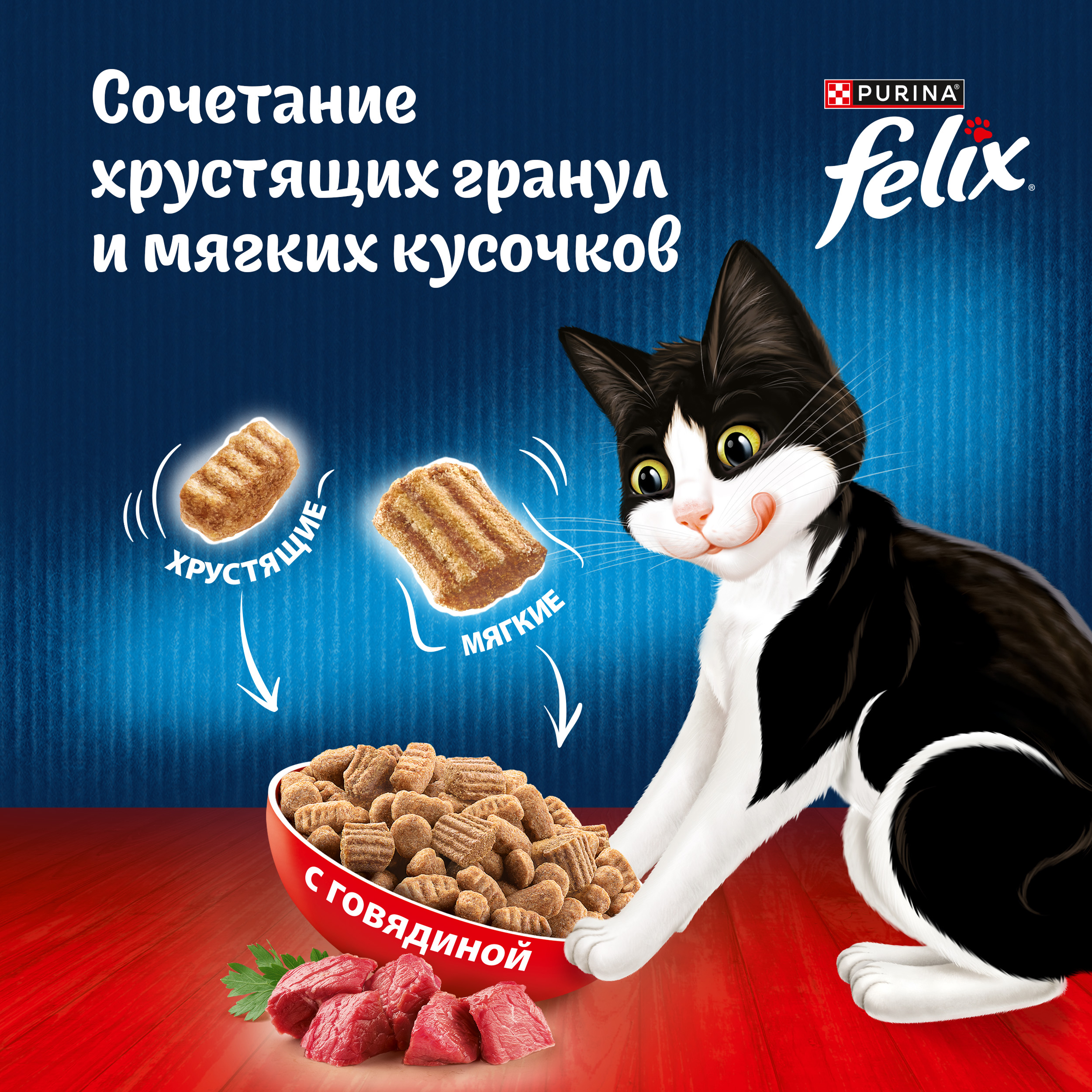 Сухой корм FELIX® Двойная Вкуснятина для кошек с говядиной 10 кг
