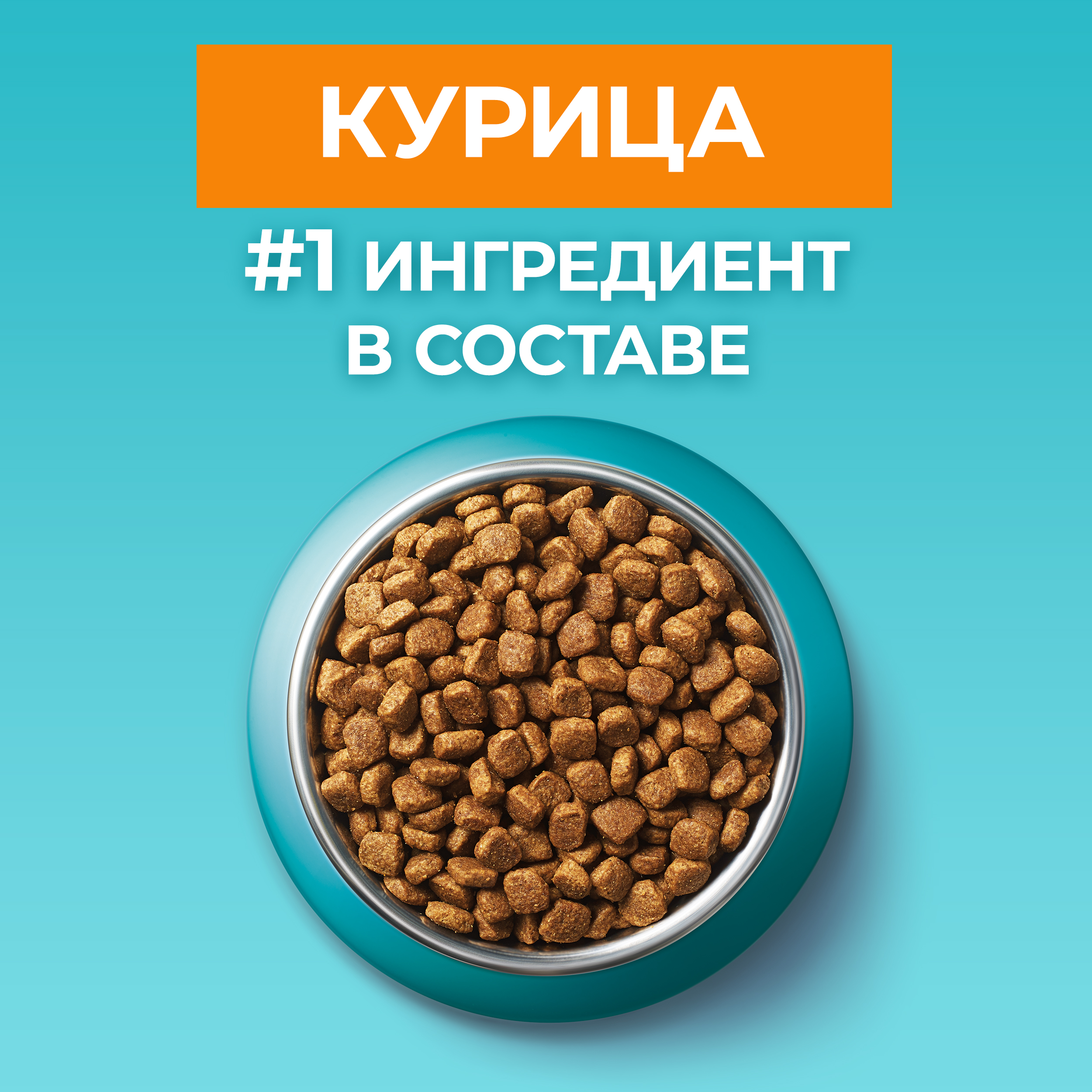 Сухой корм PURINA ONE® для стерилизованных домашних кошек с курицей 1,5 кг