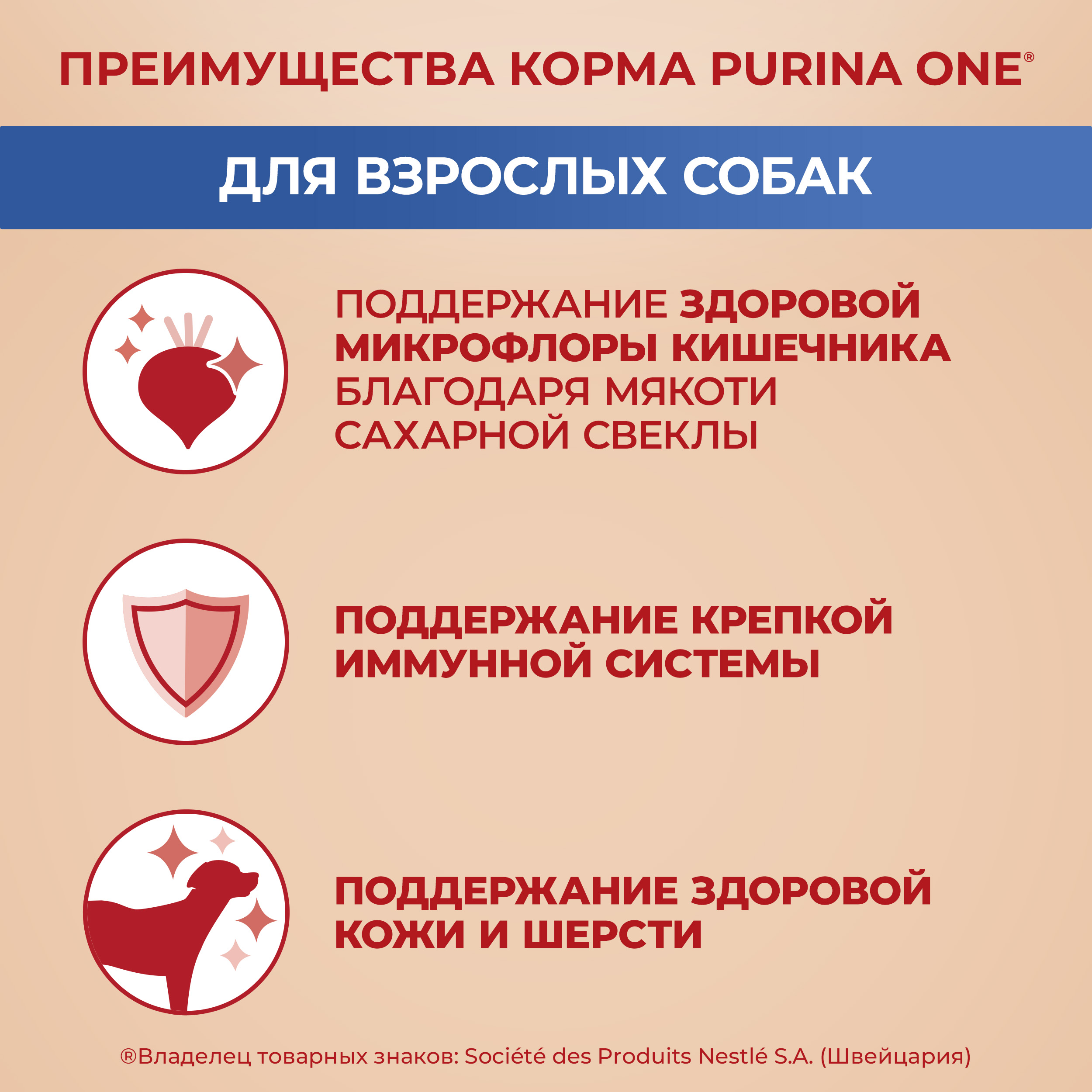 Сухой корм PURINA ONE® для взрослых собак средних и крупных пород с курицей и рисом, 10 кг