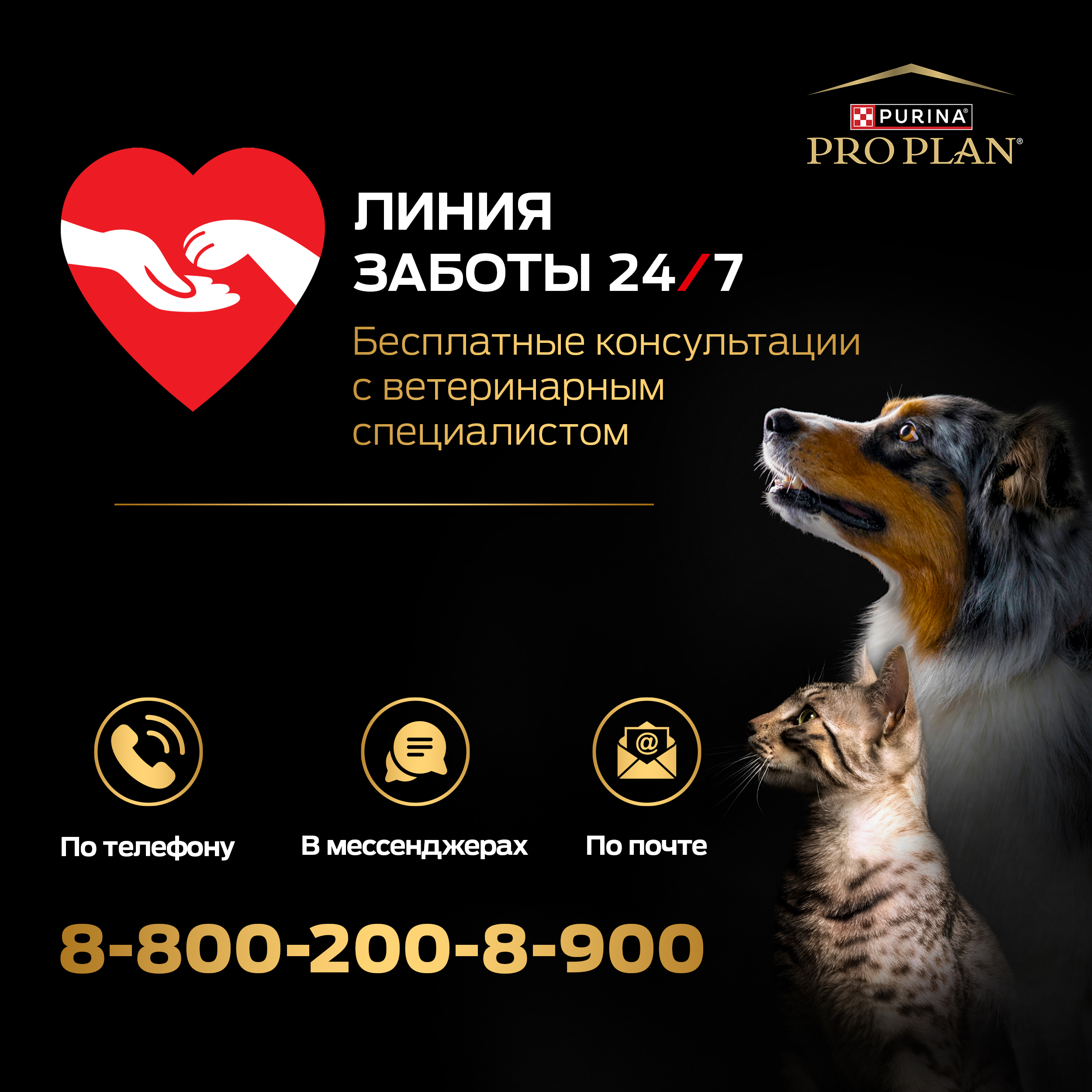 Сухой корм PRO PLAN® SENSITIVE DIGESTION для взрослых собак мелких и карликовых пород с чувствительным пищеварением с ягненком, 3 кг