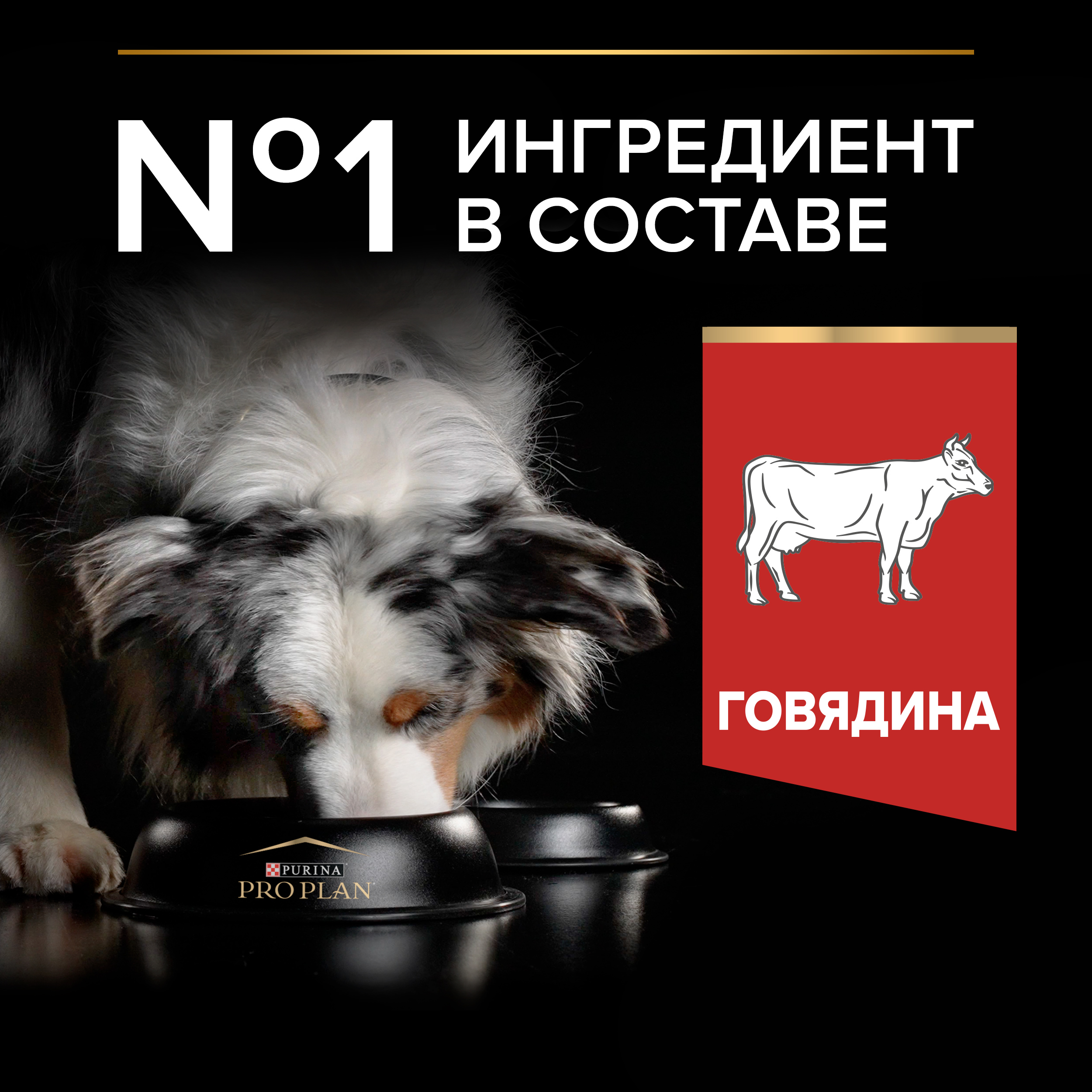 Сухой корм PRO PLAN® DUO DELICE для взрослых собак средних и крупных пород с превосходным вкусом и двойной текстурой гранул с говядиной, 2.5 кг