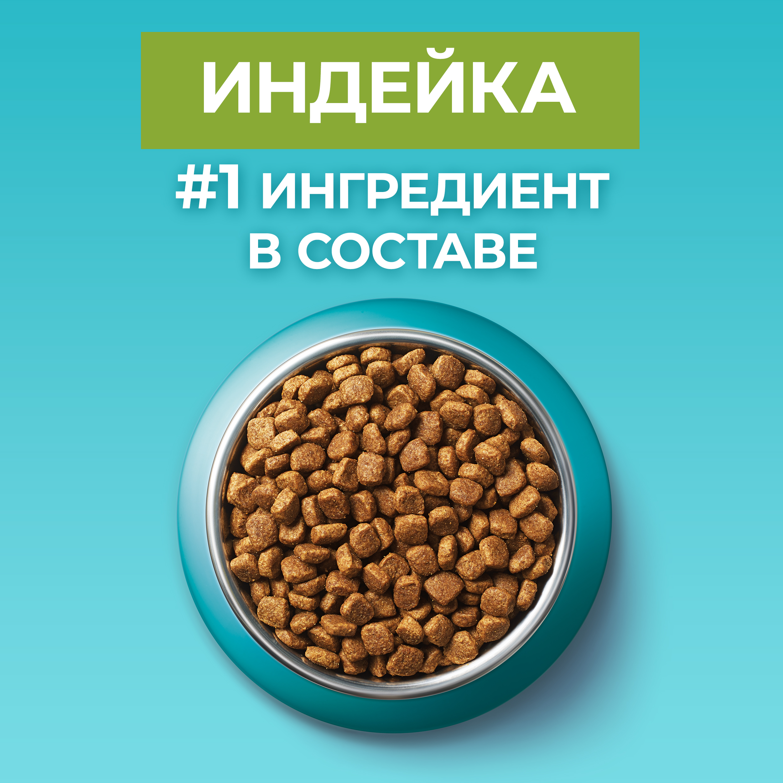 Сухой корм PURINA ONE® для взрослых кошек для чувствительного пищеварения с индейкой 750 г