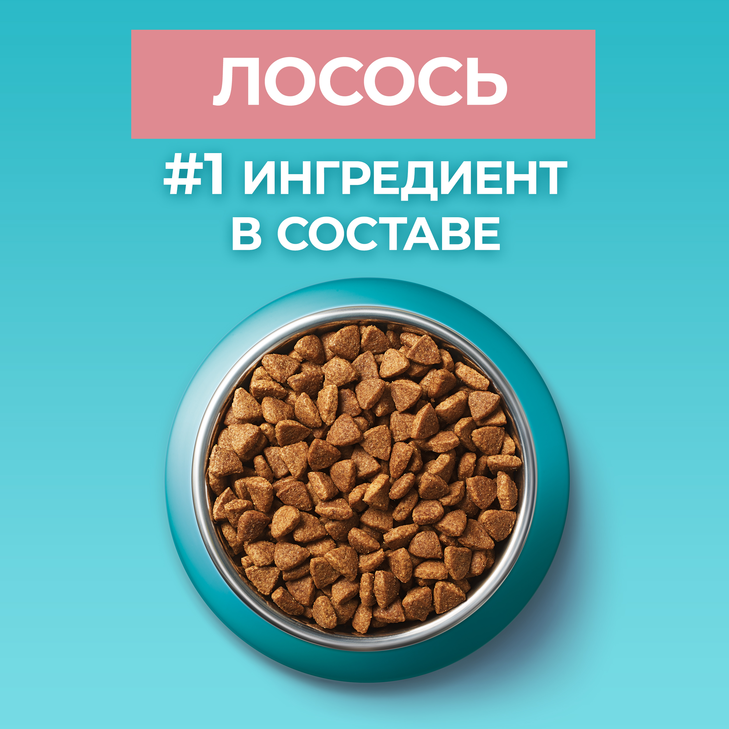Сухой корм PURINA ONE® для стерилизованных кошек и кастрированных котов с лососем 750 г