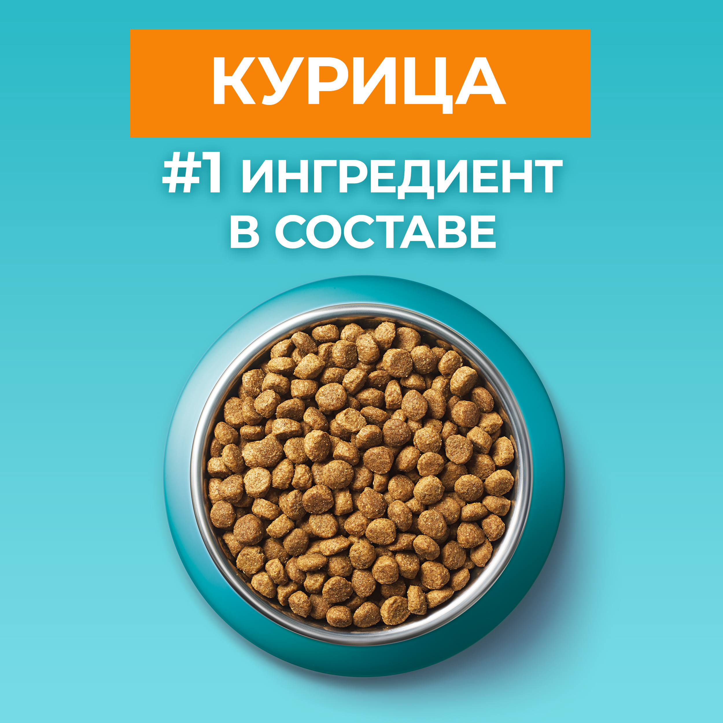 Сухой корм PURINA ONE® для пожилых кошек старше 11 лет с курицей 750 г