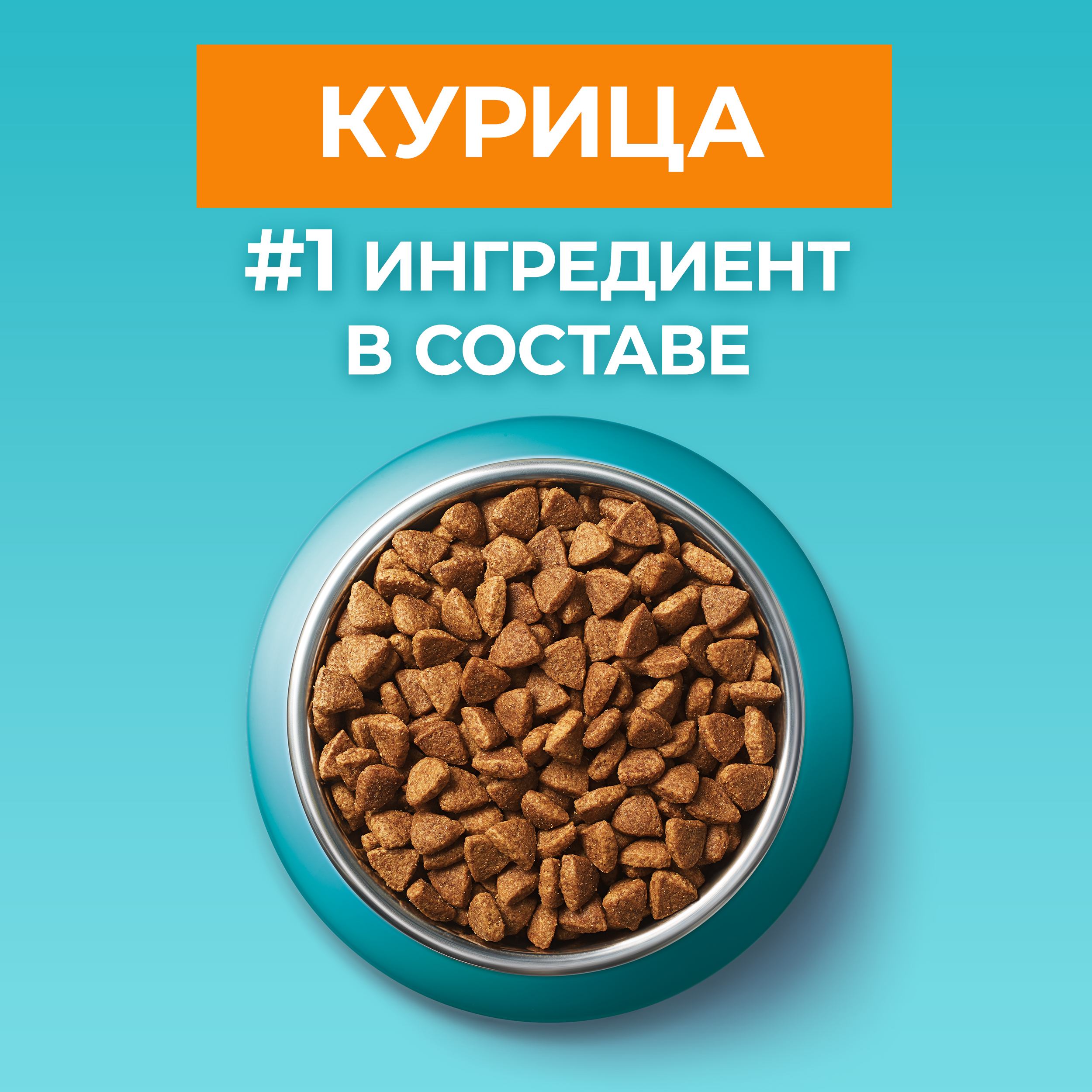 Сухой корм PURINA ONE® для взрослых кошек для красивой шерсти и здоровой кожи с курицей 750 г
