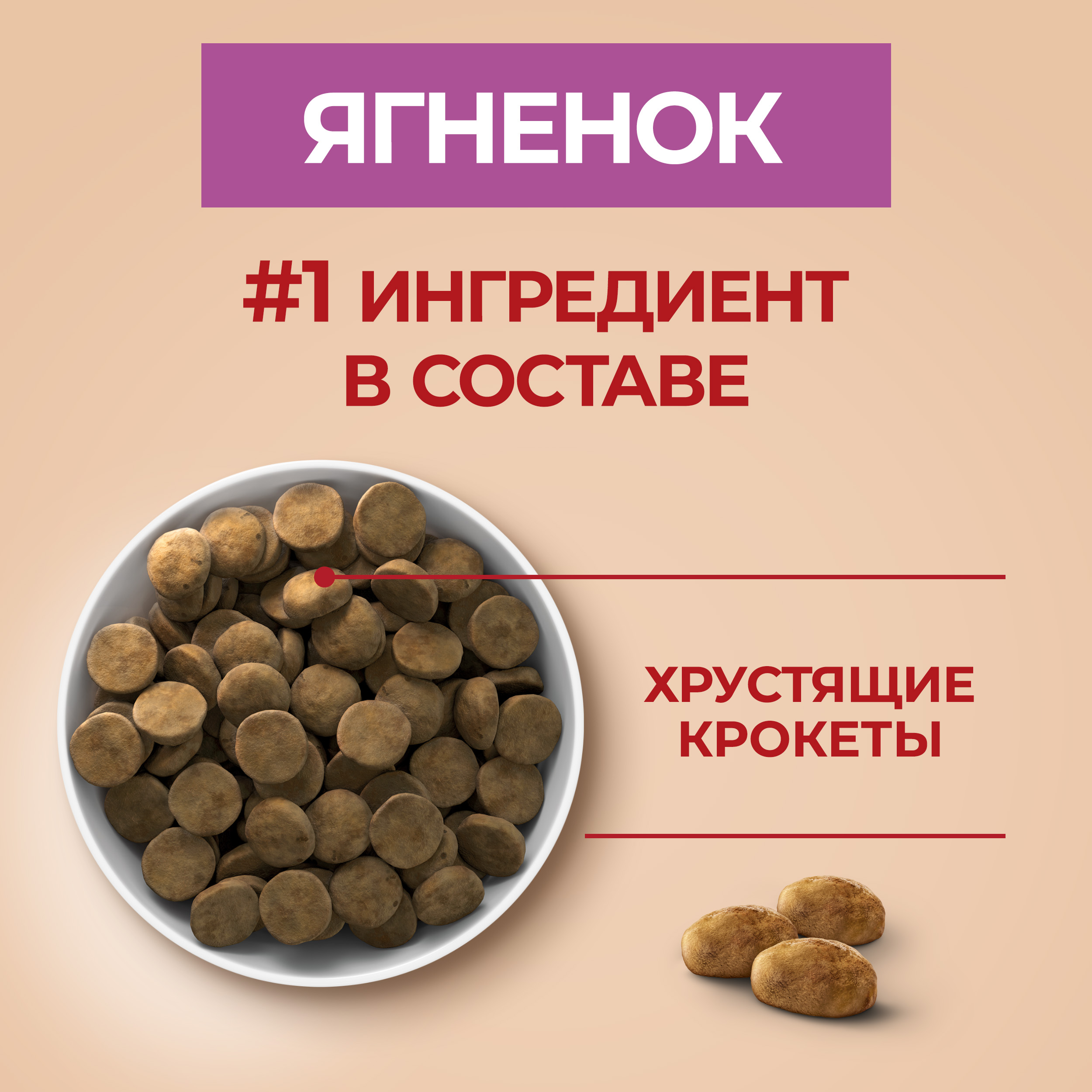 Сухой корм PURINA ONE® для взрослых собак средних и крупных пород с ягненком и рисом 10 кг