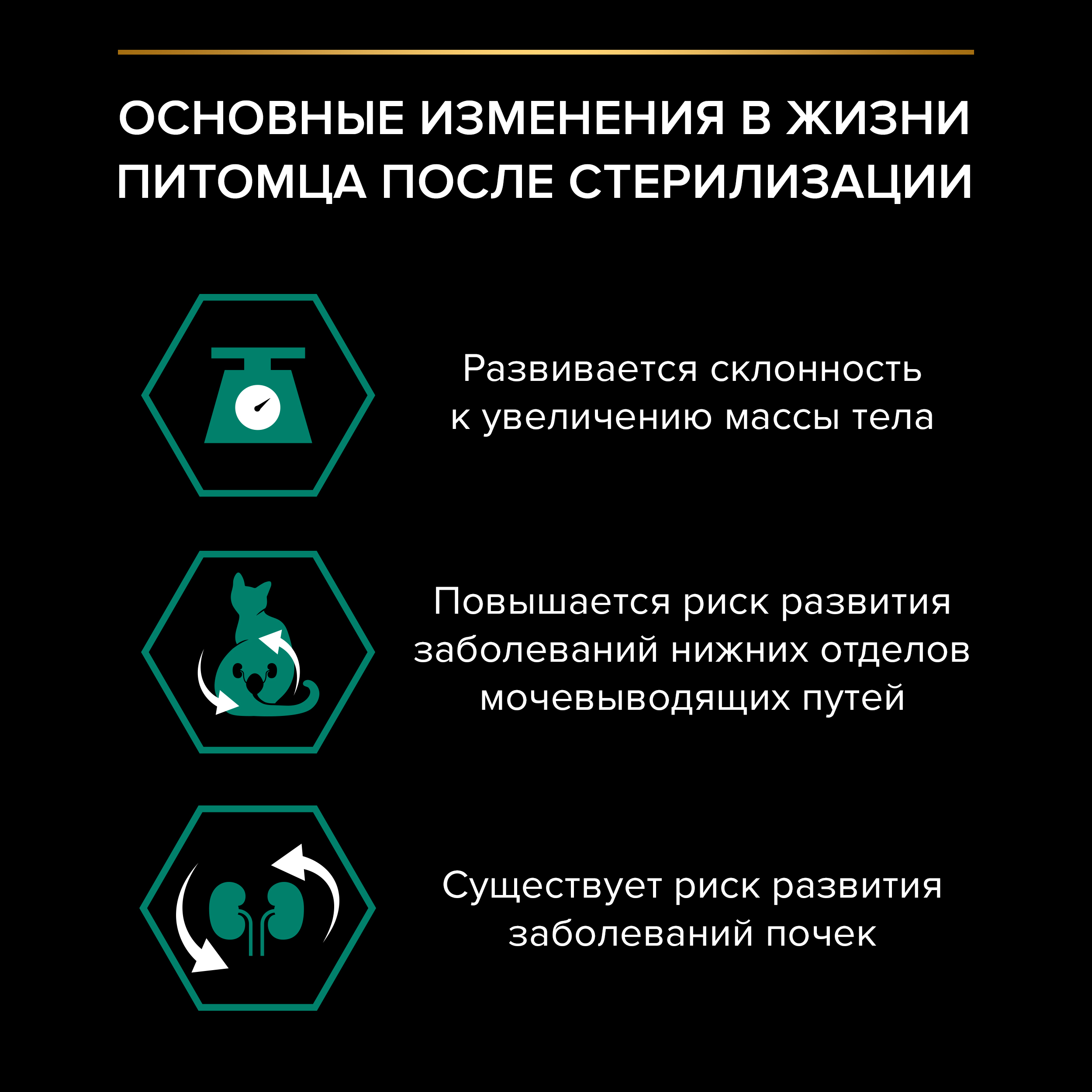 Сухой корм PRO PLAN® Sterilised RENAL PLUS для взрослых стерилизованных кошек для поддержания здоровья почек с кроликом, 400 г