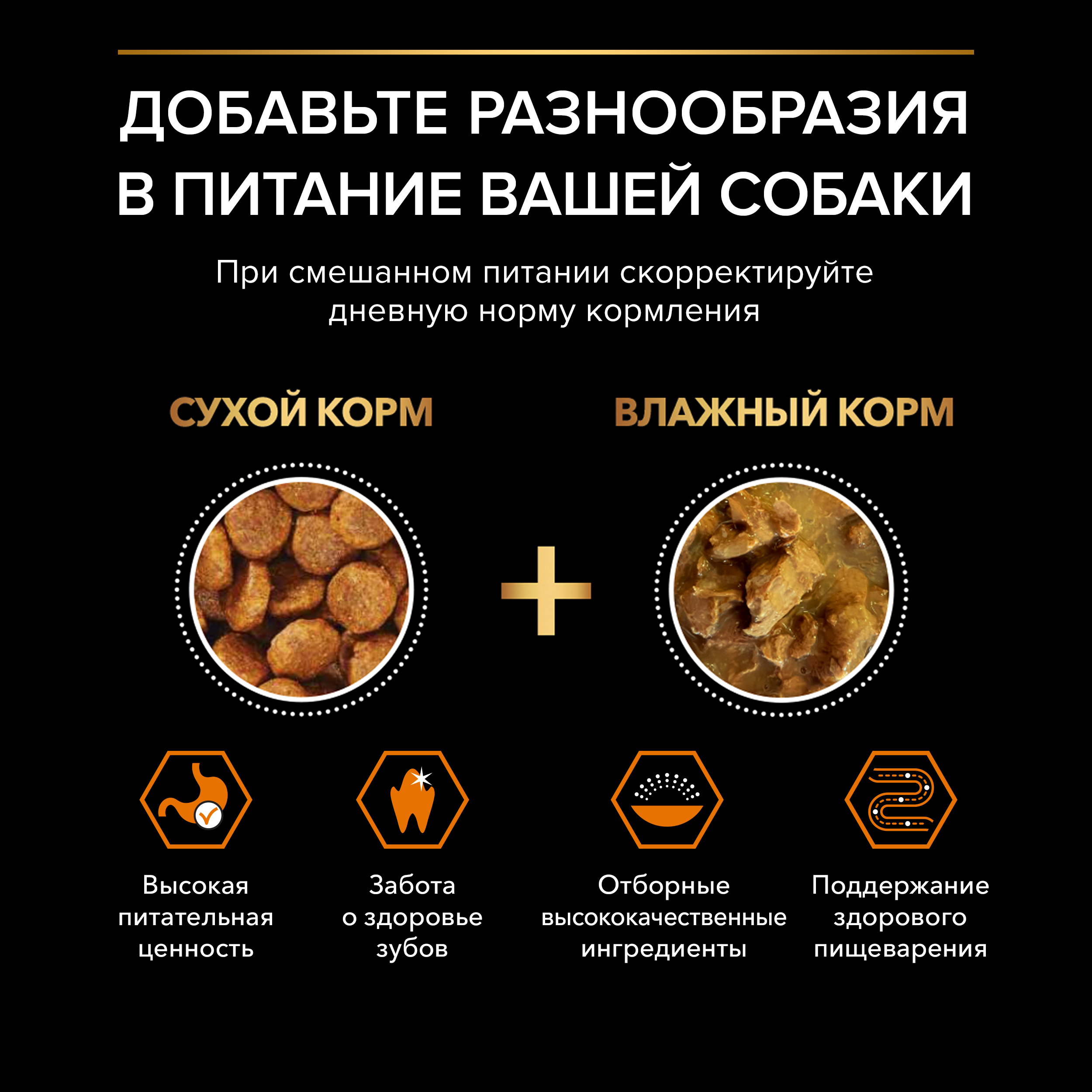 Сухой корм PRO PLAN® EVERYDAY NUTRITION для взрослых собак мелких и карликовых пород с курицей, 3 кг