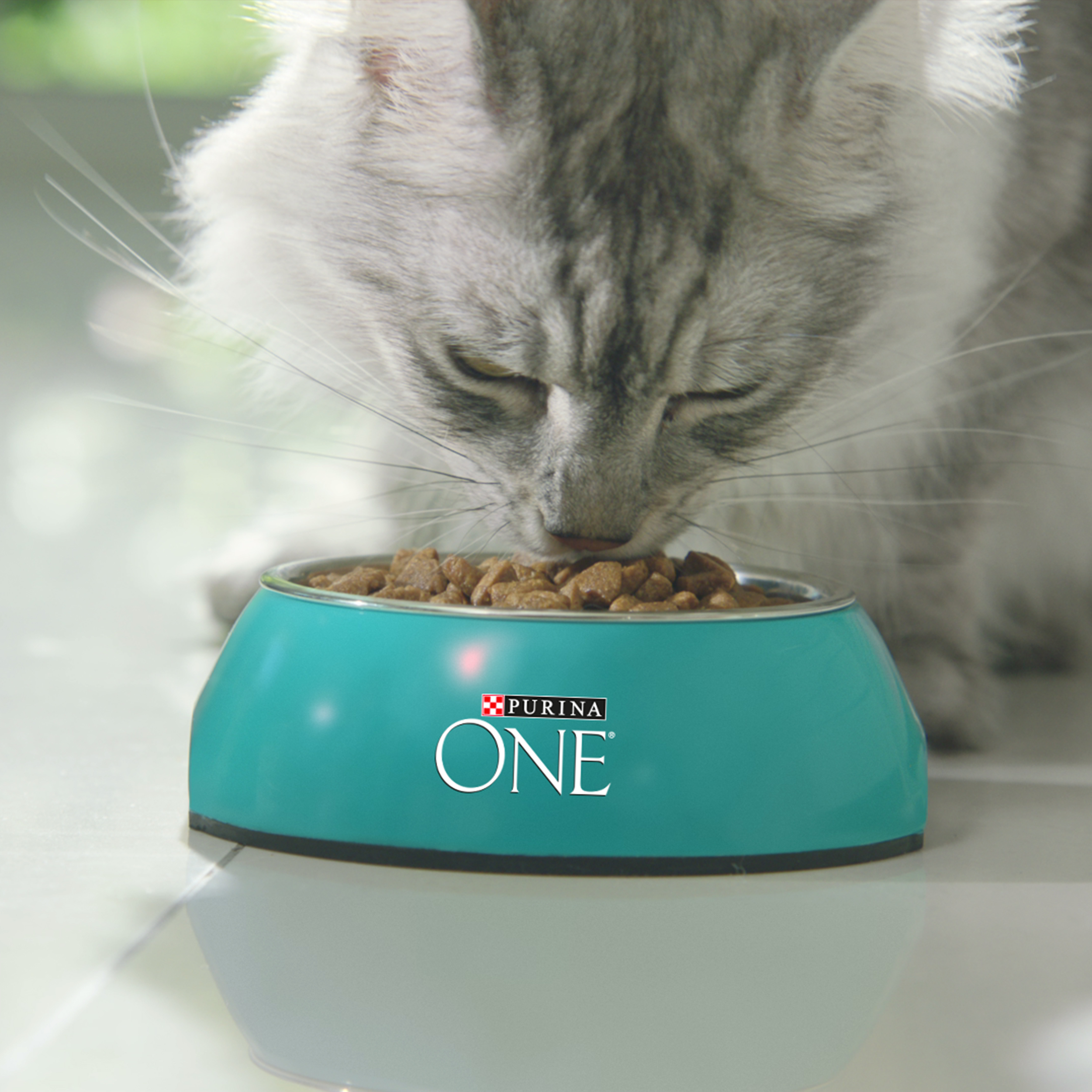 Сухой корм PURINA ONE® для стерилизованных домашних кошек с курицей 1,5 кг