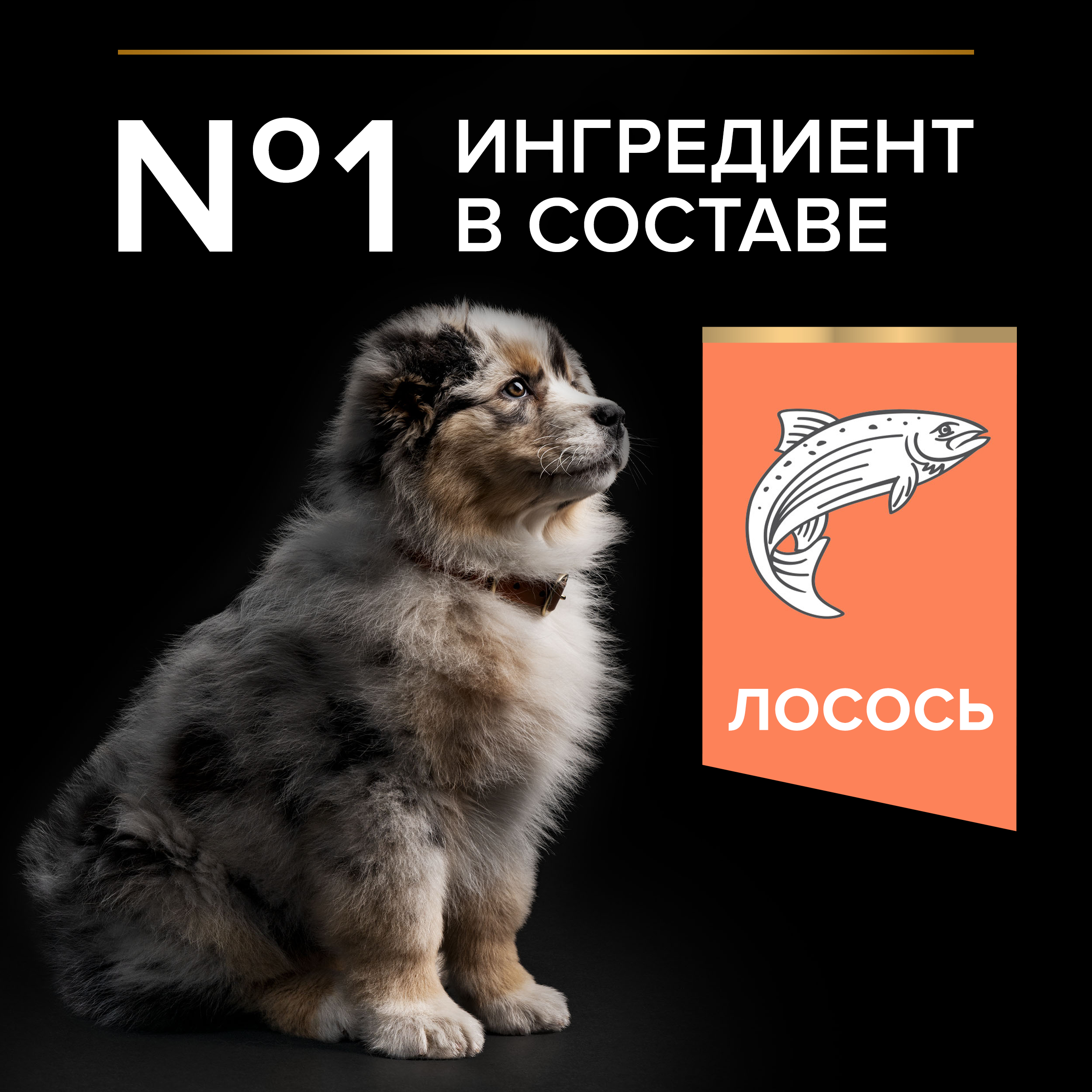 Сухой корм PRO PLAN® SENSITIVE SKIN для щенков средних пород с чувствительной кожей с лососем, 12 кг