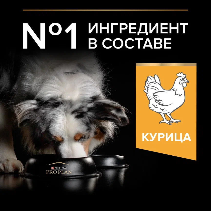 Сухой корм PRO PLAN® EVERYDAY NUTRITION для взрослых собак средних пород с курицей, 3 кг