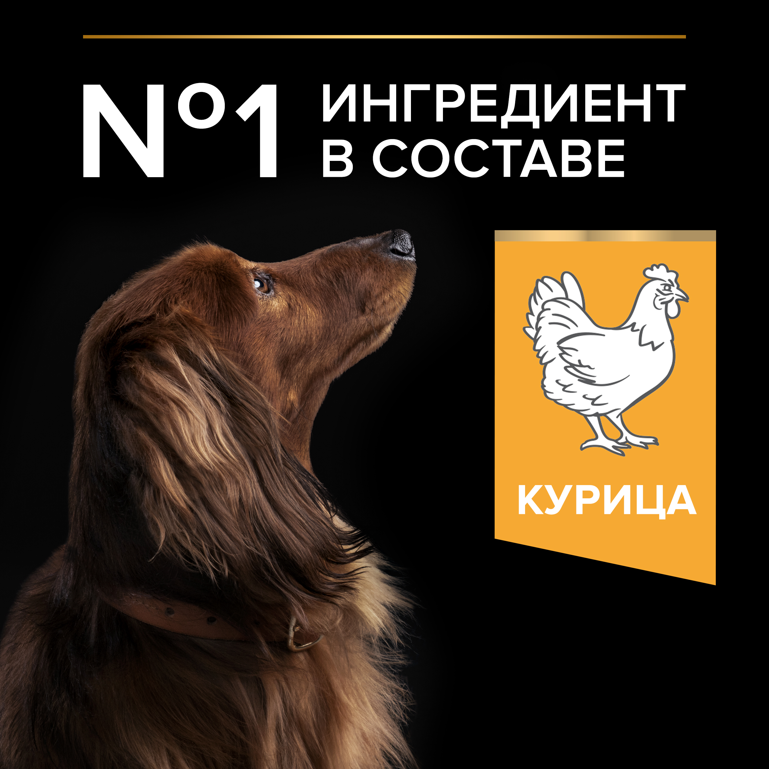 Сухой корм PRO PLAN® EVERYDAY NUTRITION для взрослых собак мелких и карликовых пород с курицей, 7 кг