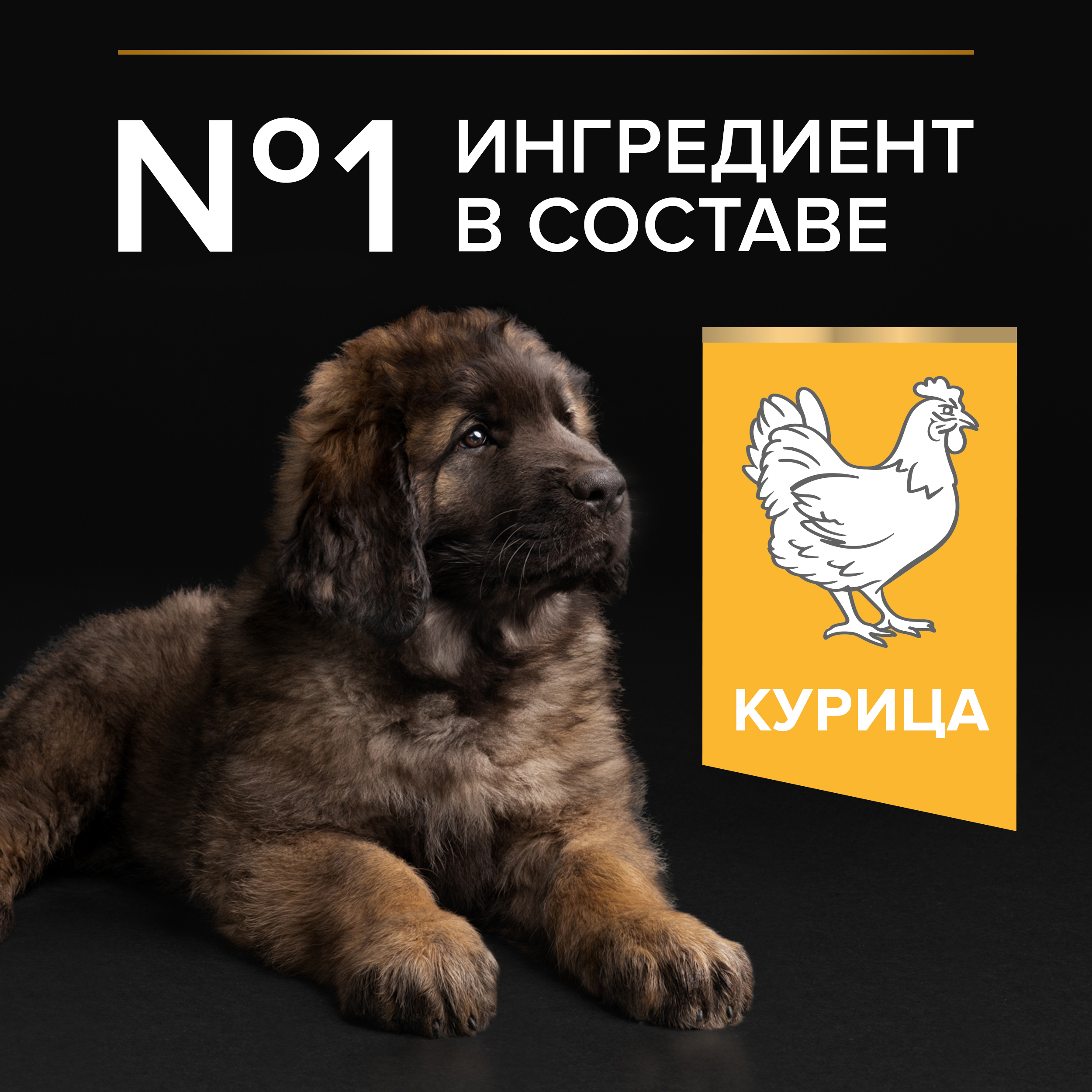 Сухой корм PRO PLAN® HEALTHY START® для щенков крупных пород с мощным телосложением, c курицей, 12 кг