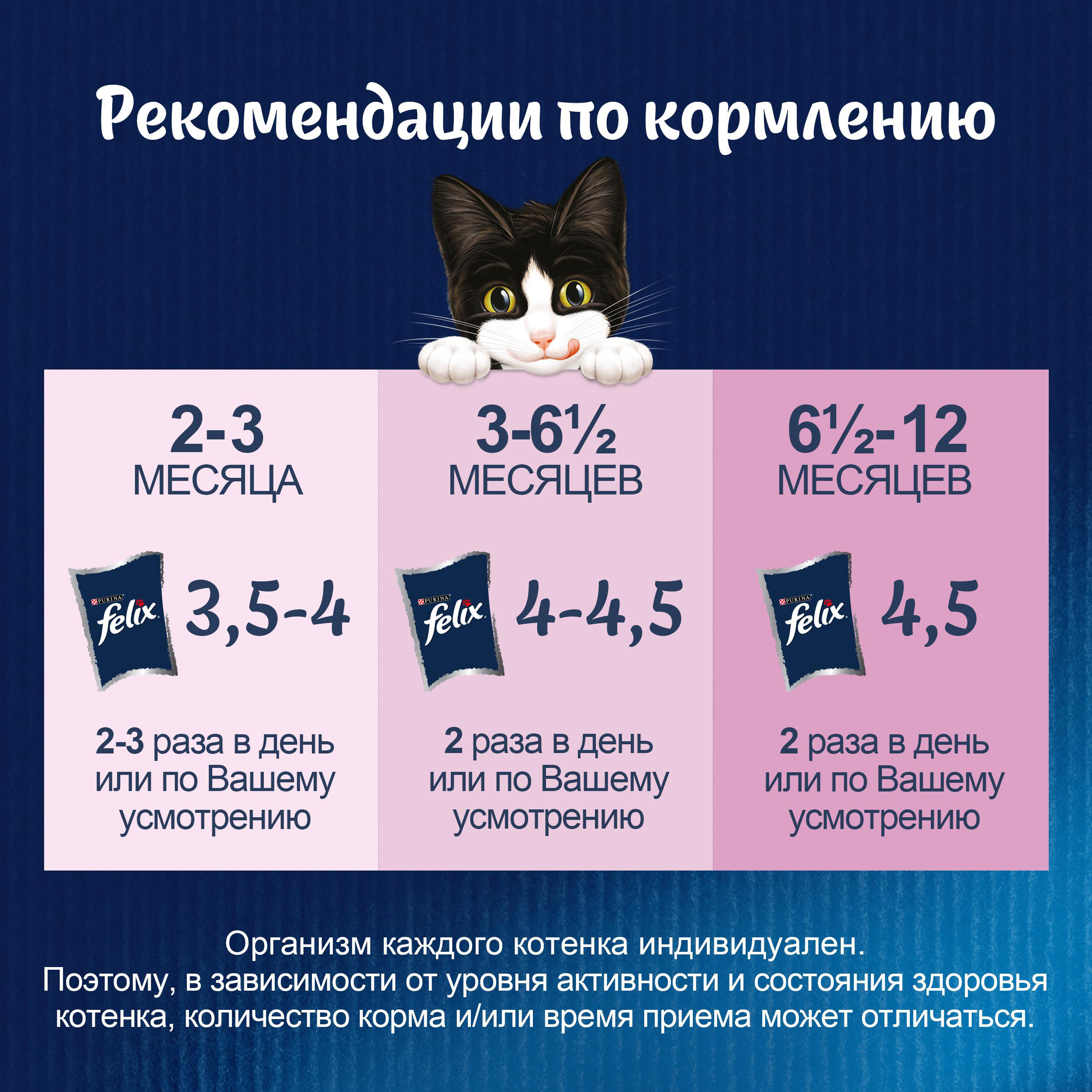 Влажный корм FELIX® Аппетитные Кусочки для котят с курицей в желе 75 г х 26 шт