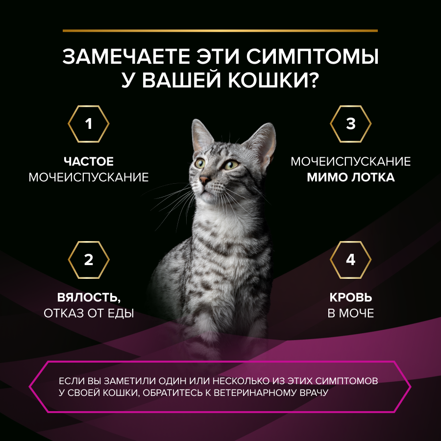 Влажный корм для кошек диетический PRO PLAN® VETERINARY DIETS UR ST/OX Urinary при болезнях нижних отделов мочевыводящих путей, с лососем, 85 г x 26 шт.