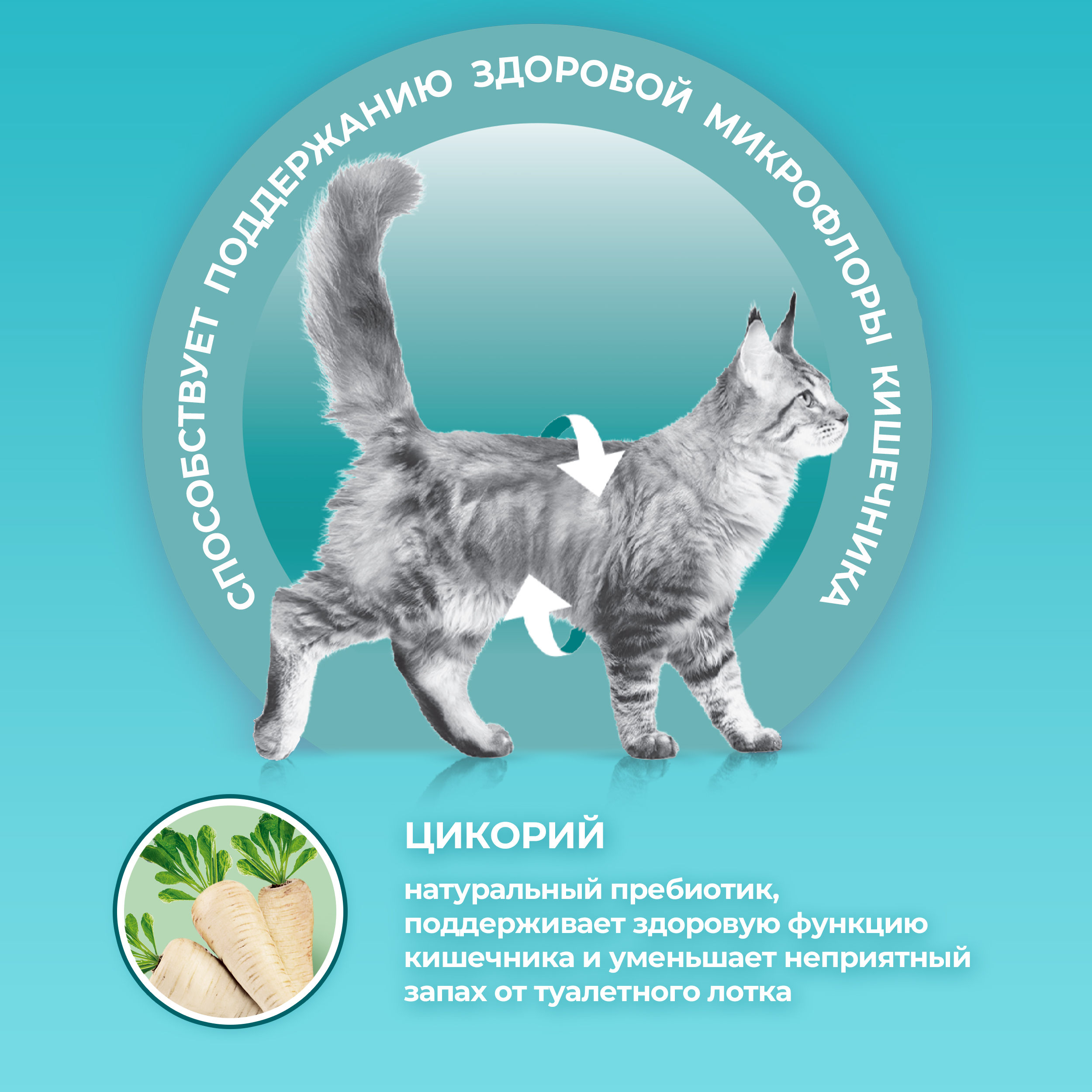 Сухой корм PURINA ONE® для взрослых домашних кошек с индейкой 1,5 кг