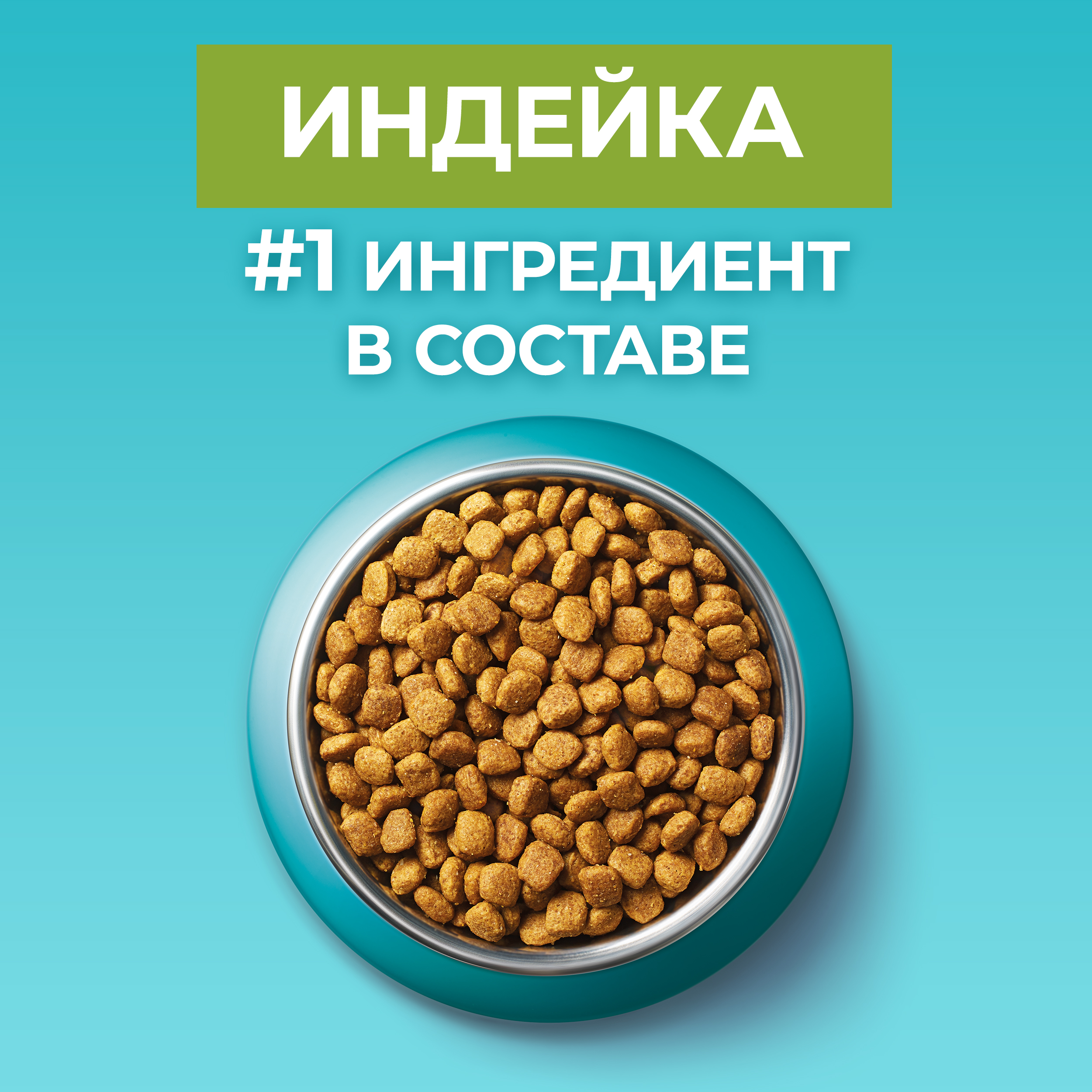 Сухой корм PURINA ONE® для взрослых домашних кошек с индейкой 200 г