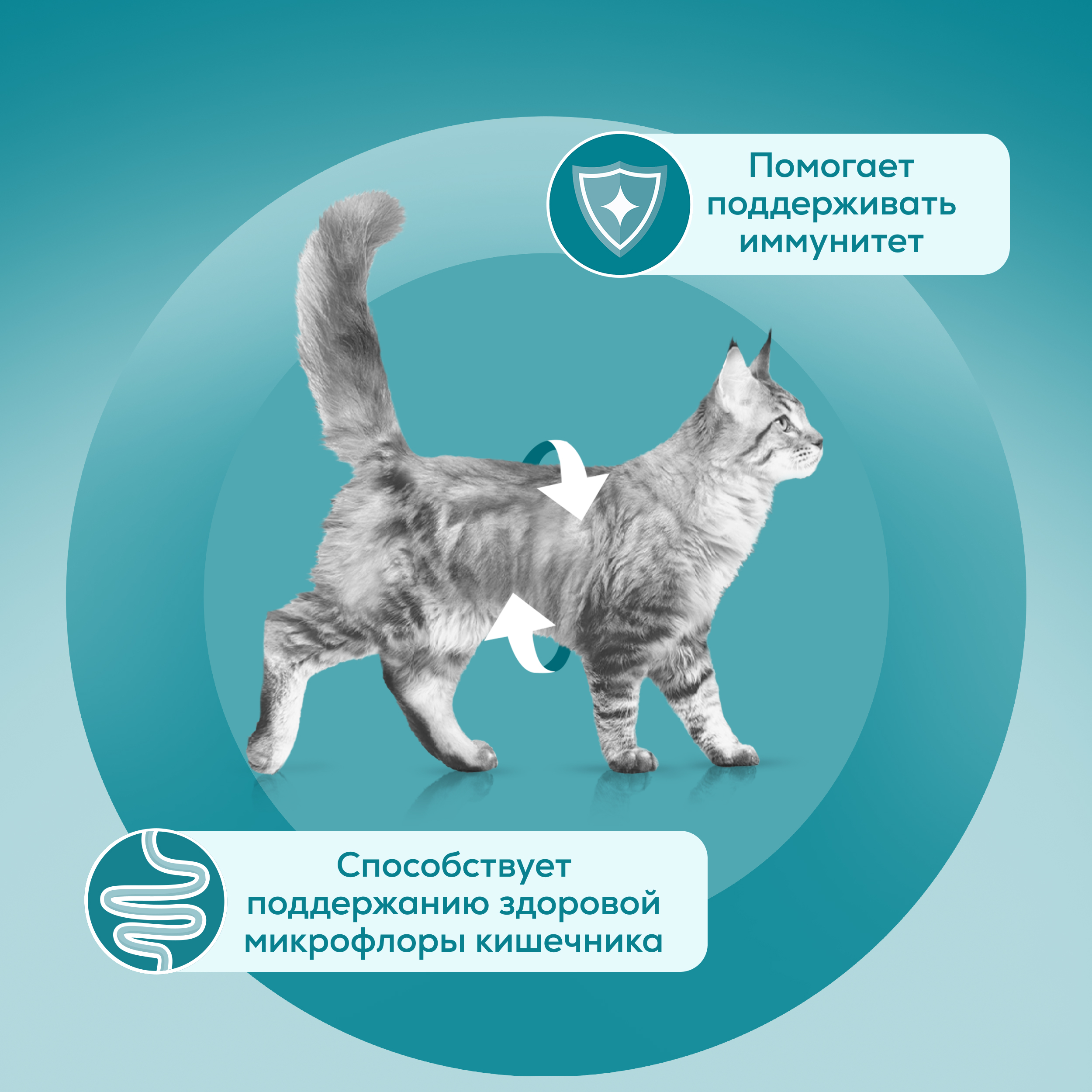 Влажный корм PURINA ONE® для стерилизованных кошек и кастрированных котов, с говядиной и морковью 75 г x 26 шт