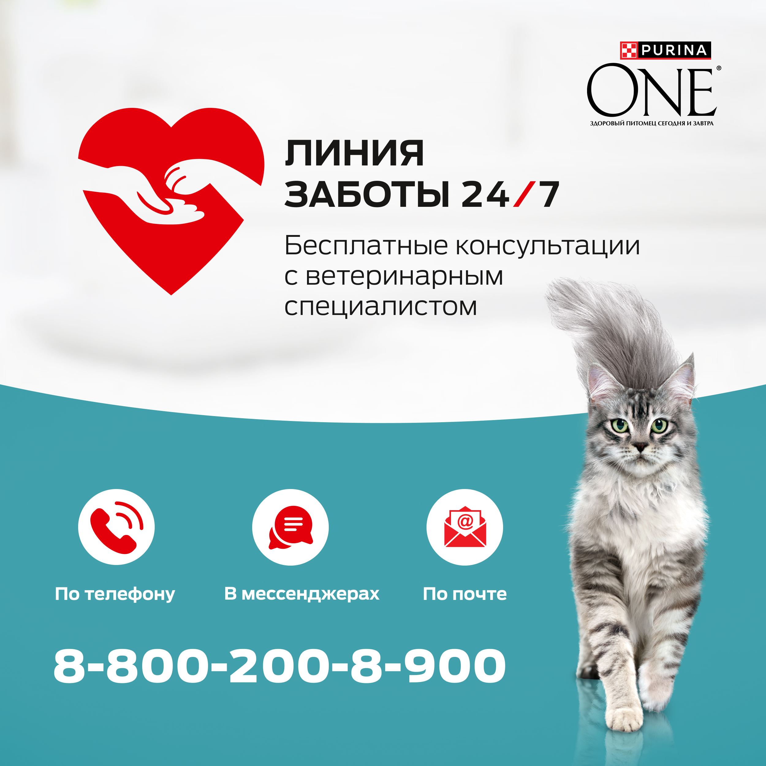 Влажный корм PURINA ONE® для стерилизованных кошек и кастрированных котов, с говядиной и морковью 75 г x 26 шт
