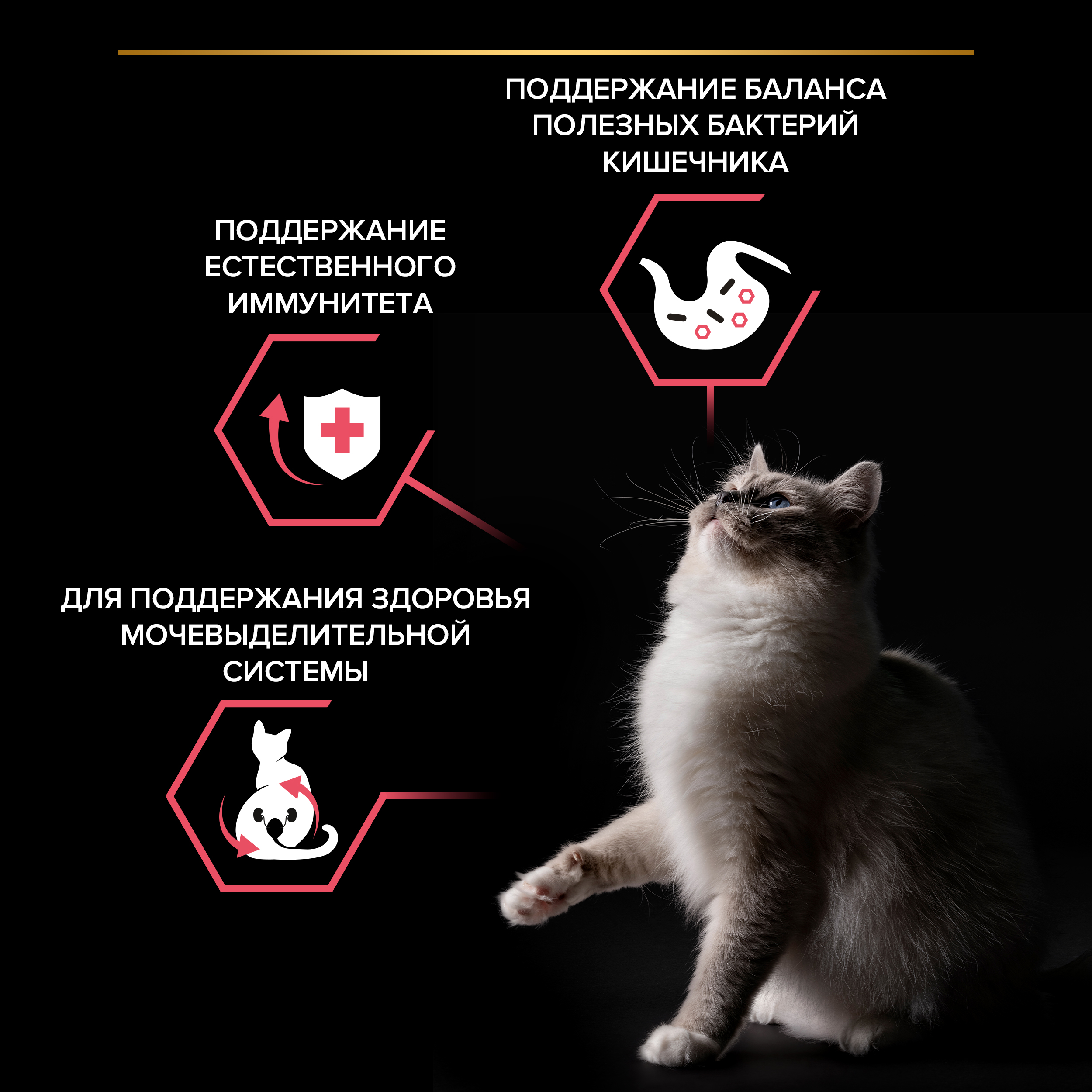 Сухой корм PRO PLAN® Nature Elements STERILISED для стерилизованных кошек с курицей, 7 кг