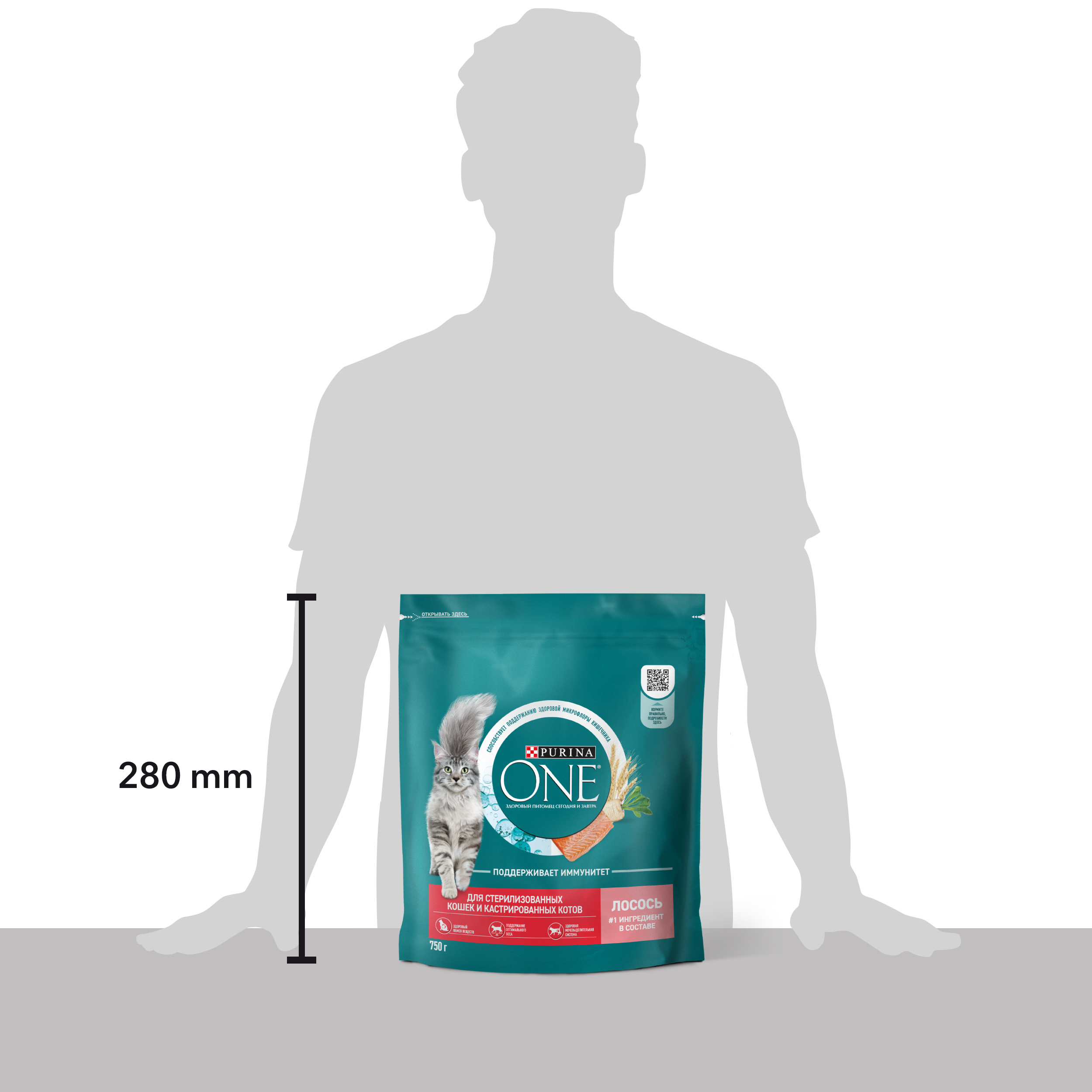 Сухой корм PURINA ONE® для стерилизованных кошек и кастрированных котов с лососем 750 г