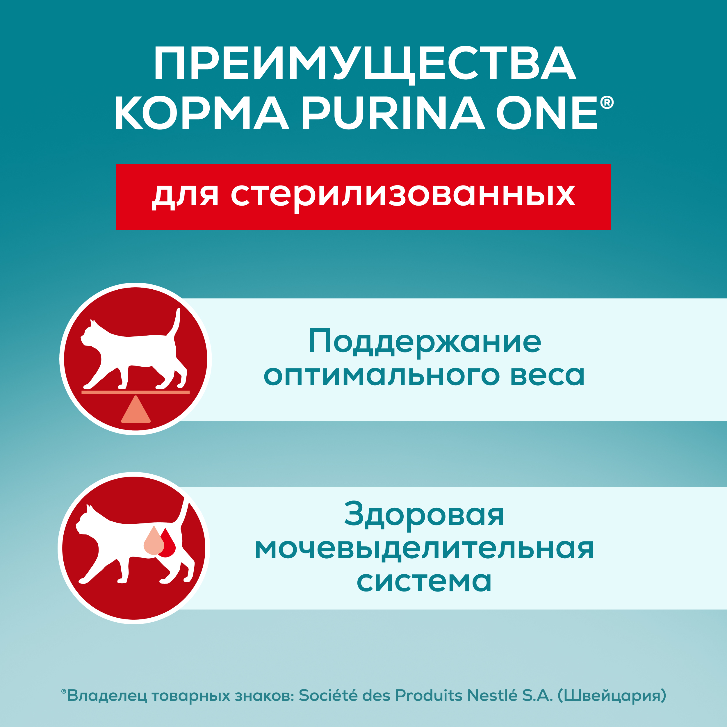 Влажный корм PURINA ONE® для стерилизованных кошек и кастрированных котов, с говядиной и морковью 75 г x 26 шт