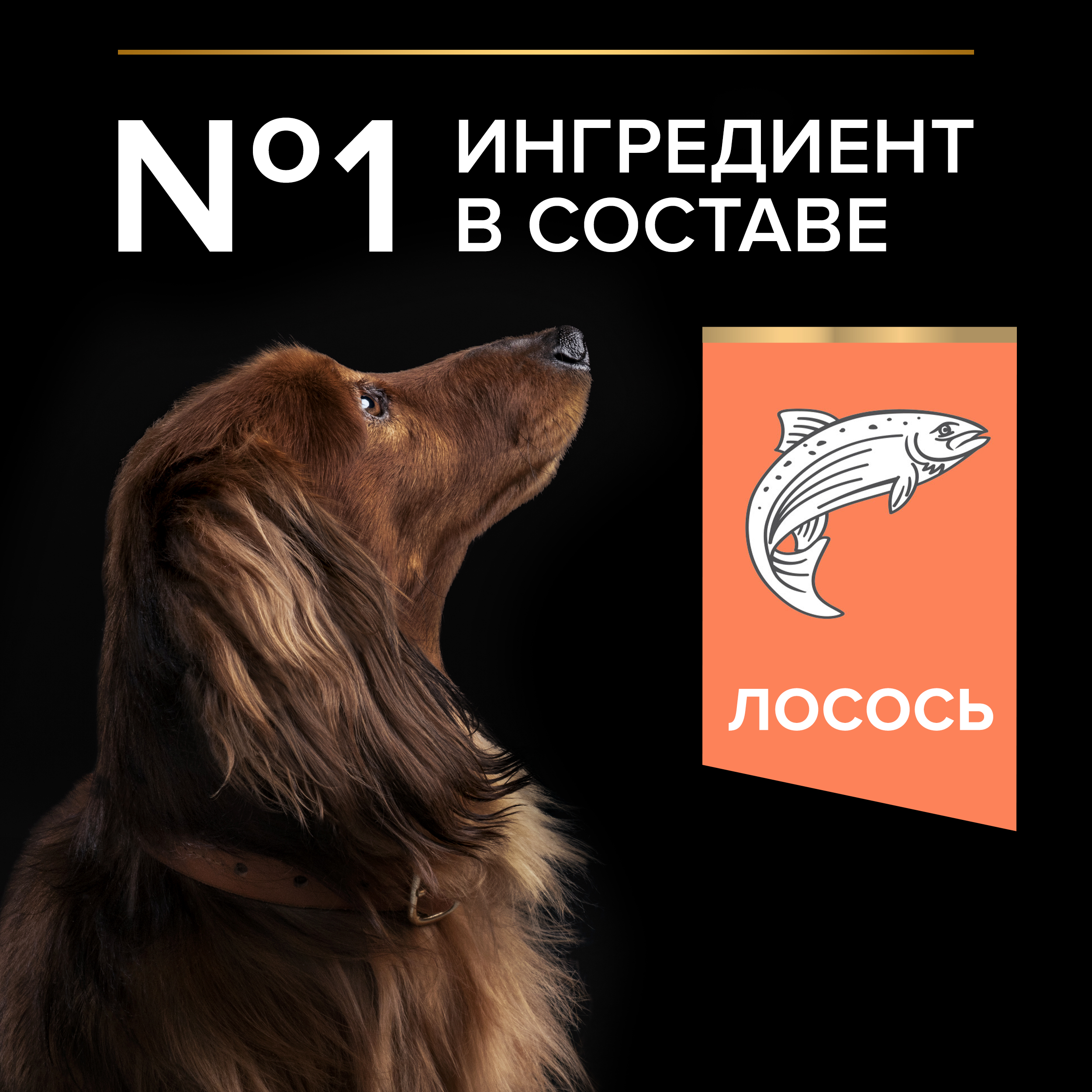Сухой корм PRO PLAN® SENSITIVE SKIN для взрослых собак мелких и карликовых пород с чувствительной кожей с лососем, 700 г