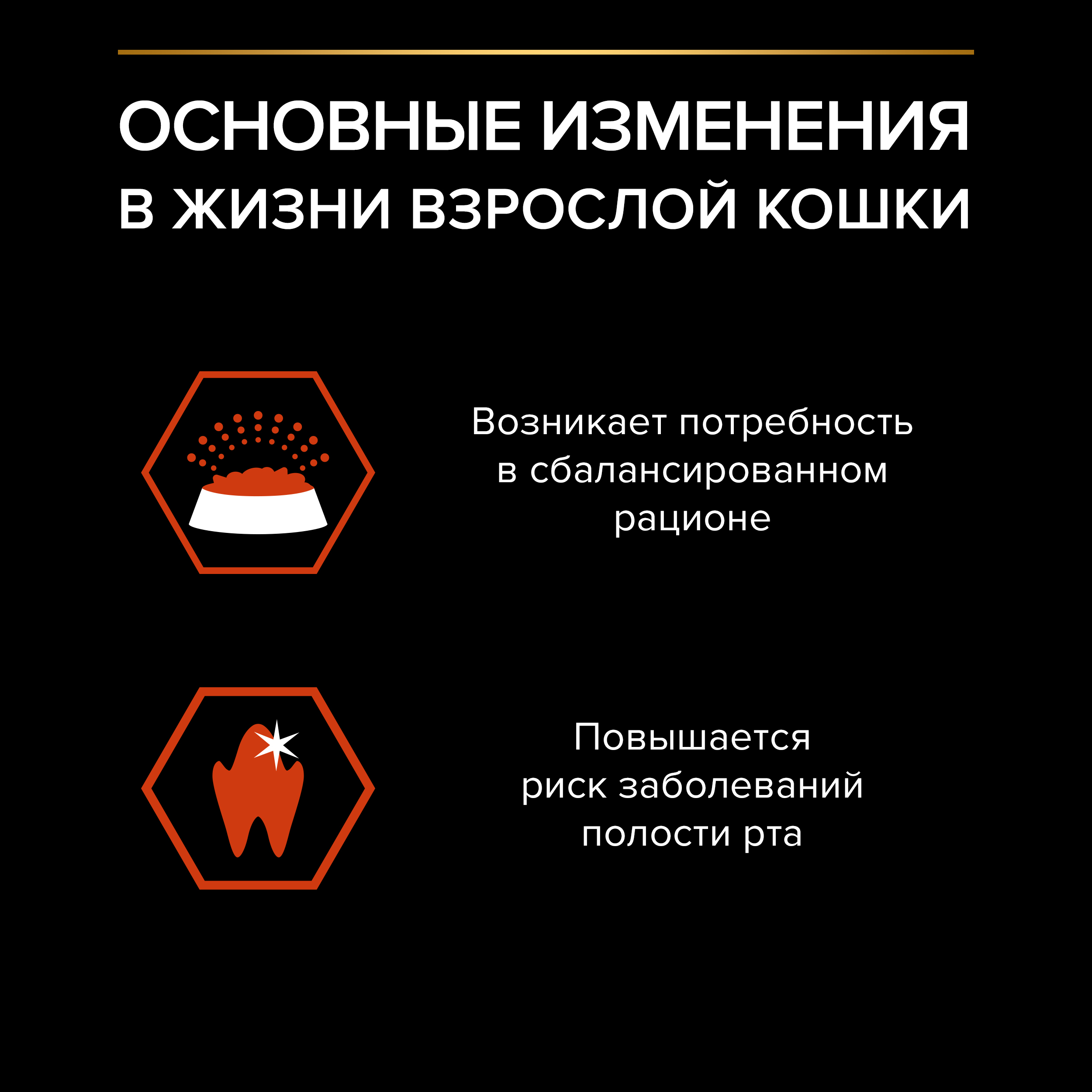 Сухой корм PRO PLAN® VITAL FUNCTIONS для взрослых кошек для поддержания функций почек, мозга и иммунитета с лососем, 10 кг