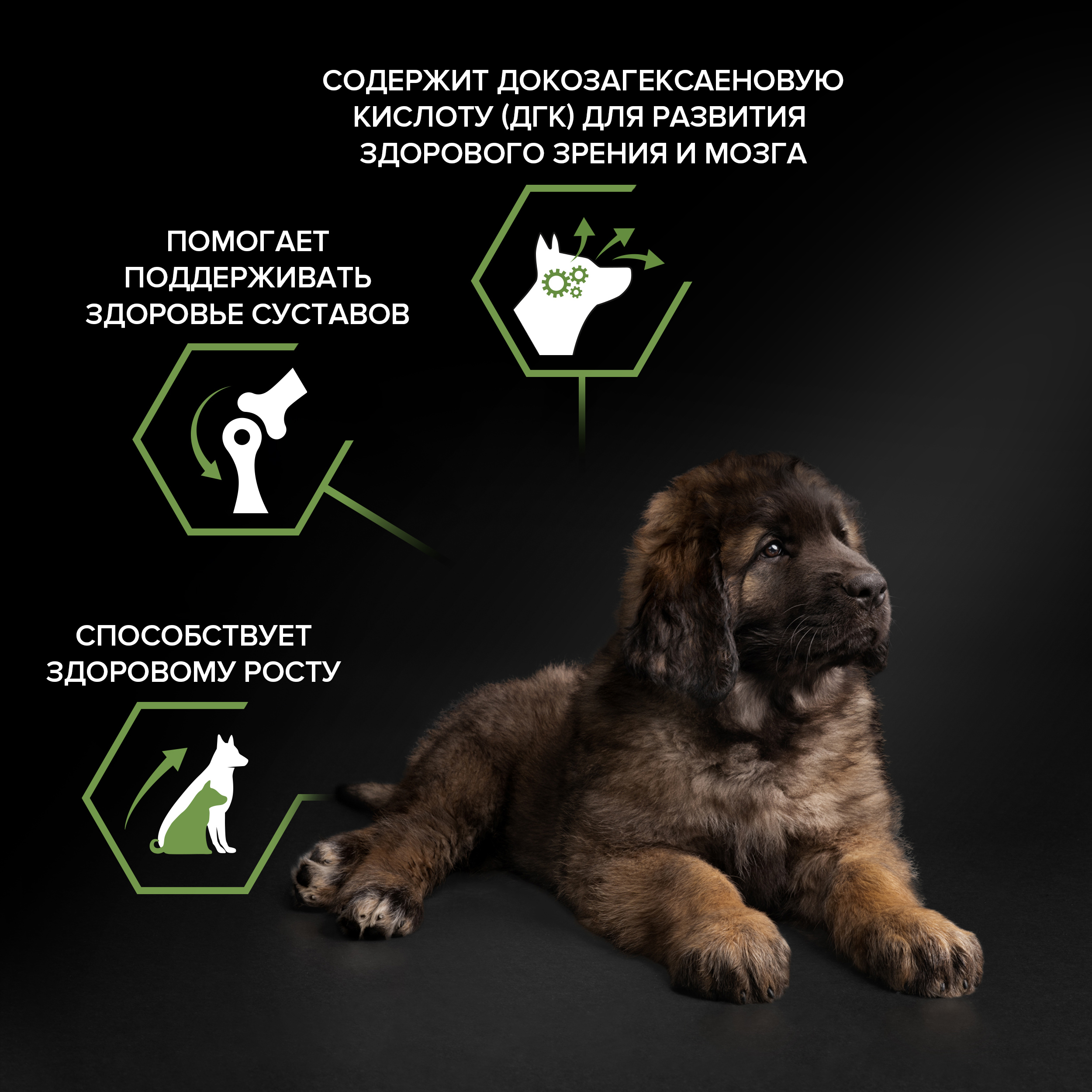 Сухой корм PRO PLAN® HEALTHY START® для щенков крупных пород с мощным телосложением, c курицей, 12 кг