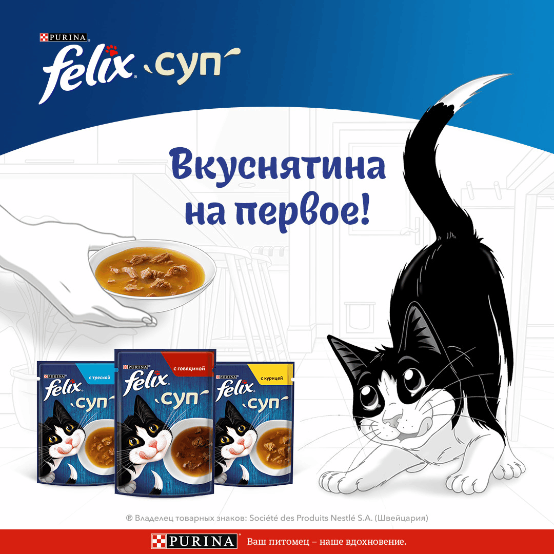 Влажный корм FELIX® Суп для кошек с курицей 48 г х 36 шт.