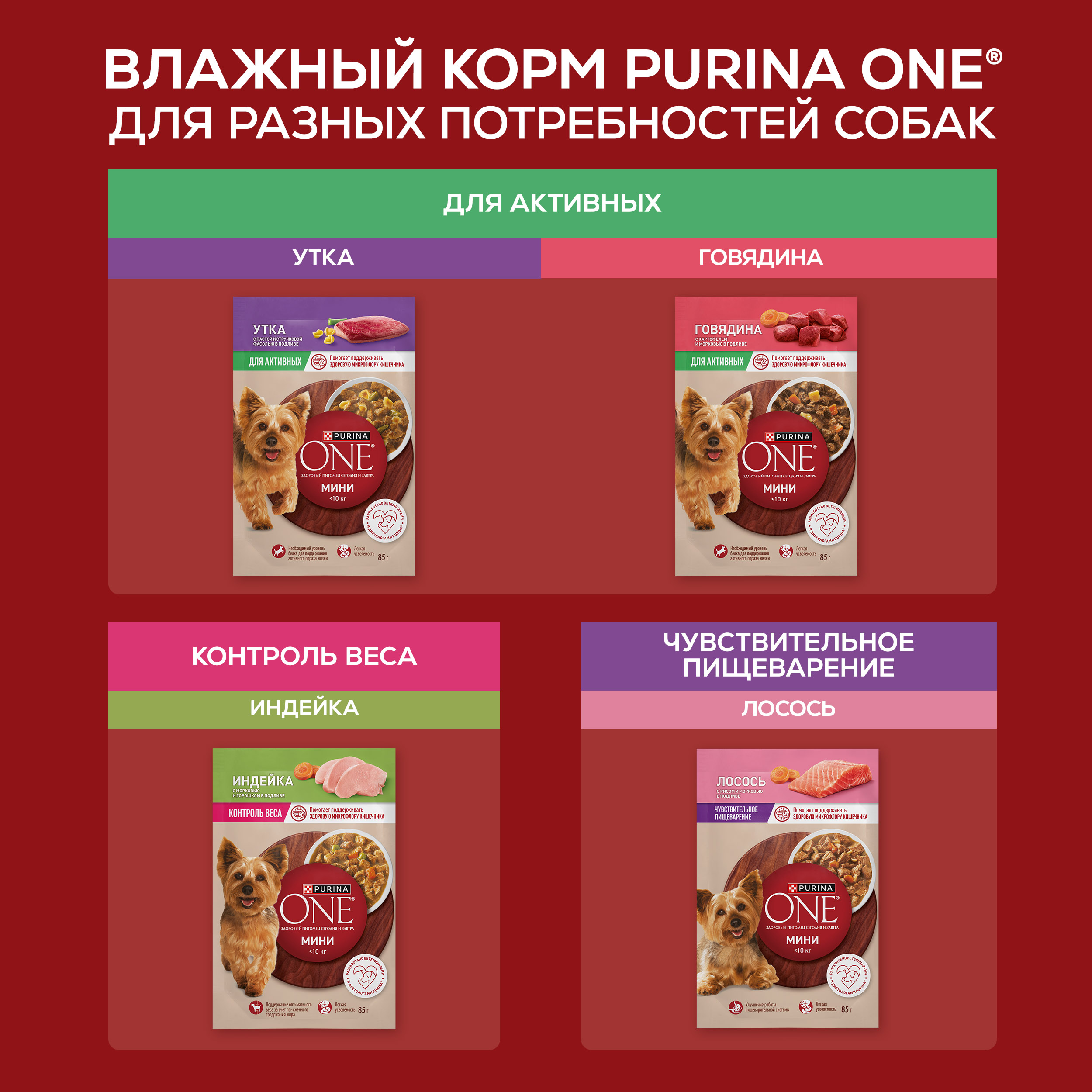 Влажный корм Purina ONE® МИНИ для собак мелких и карликовых пород с чувствительным пищеварением с лососем, рисом и морковью в соусе 85 г x 26 шт